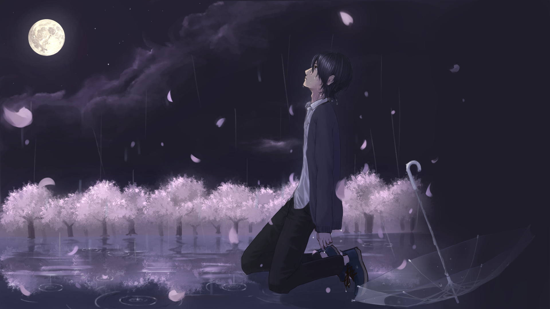動漫男孩 桌布 壁紙 — 一個孤獨的動漫男孩在紫色夜景中跪在滿月下的雨中，櫻花在他周圍飄落。