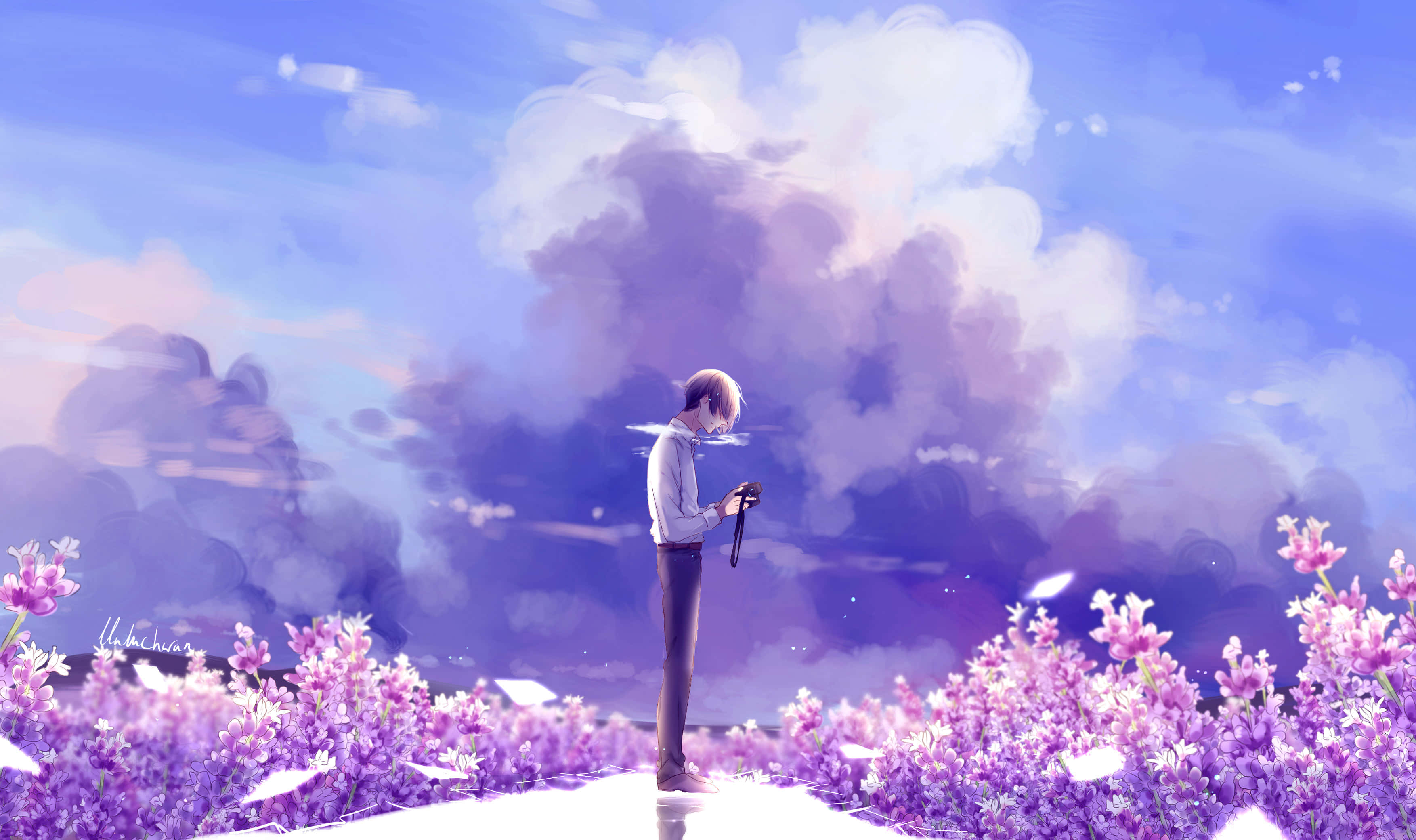 Anime Flower 桌布 壁紙 — 一個孤獨的動漫男孩站在紫色花田中，天空是夢幻的暮色，雲朵柔軟。