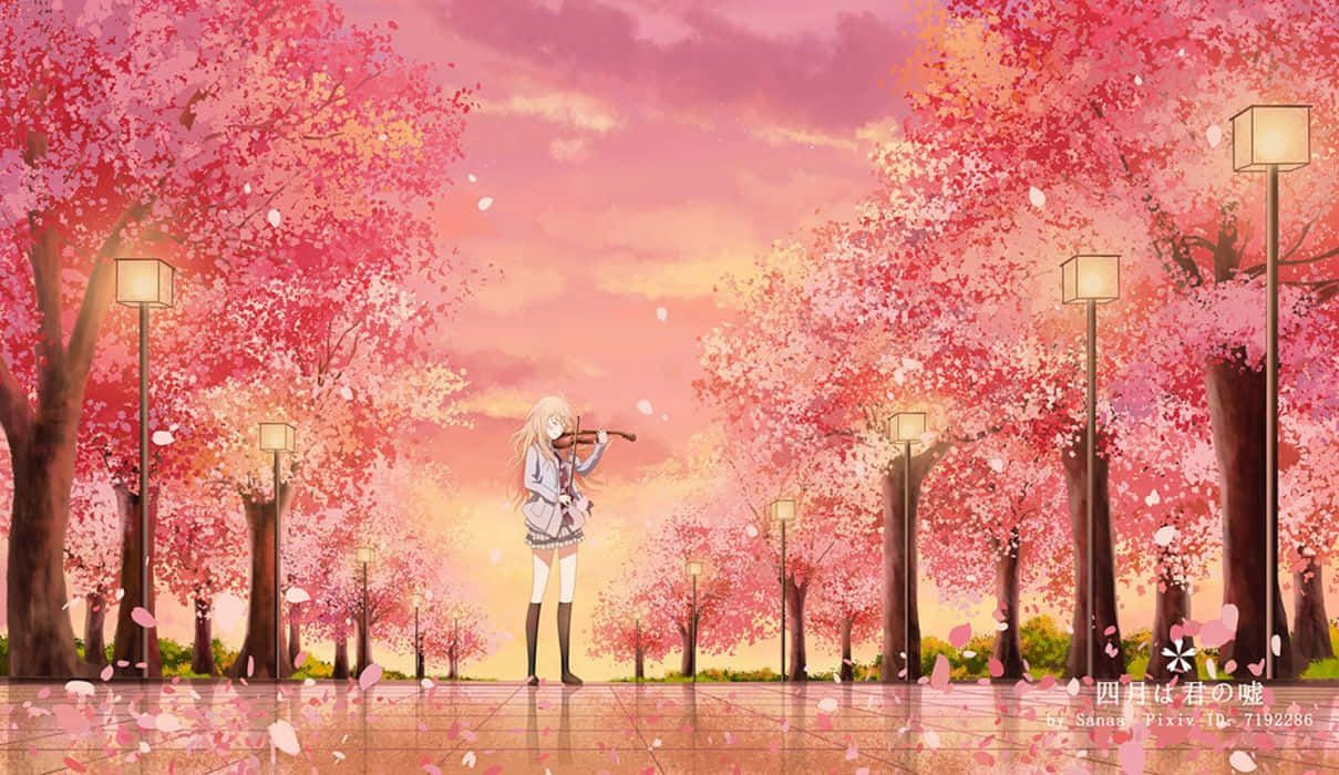 Pink Anime 桌布 壁紙 — 一個孤獨的動畫女孩在盛開的櫻花樹下演奏小提琴，粉紅色的花瓣在溫暖的夕陽餘暉中飄揚。
