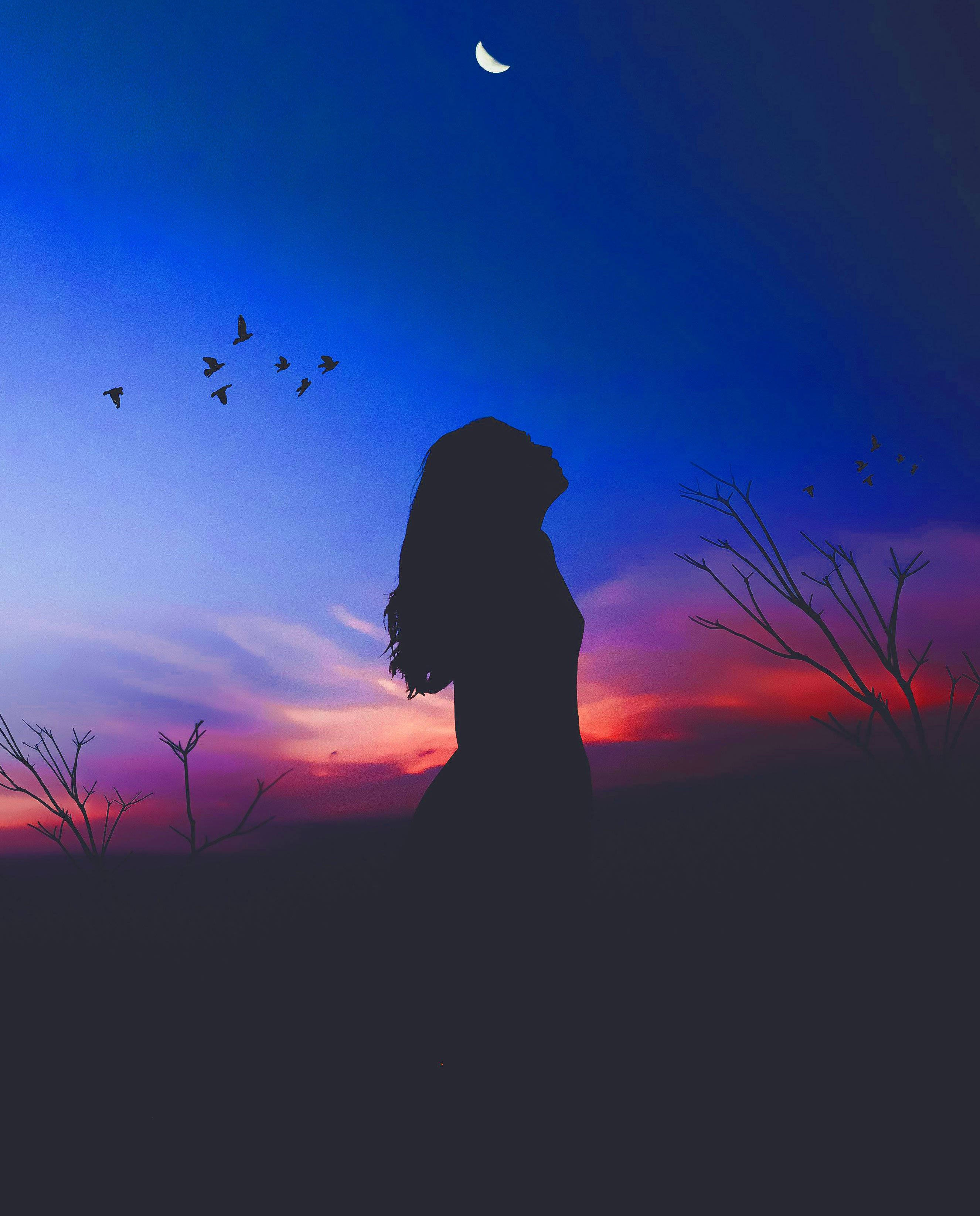 Sad Girl 桌布 壁紙 — 一個孤獨的女人剪影仰望新月，鳥兒在深藍和火紅色的暮色天空中飛翔。