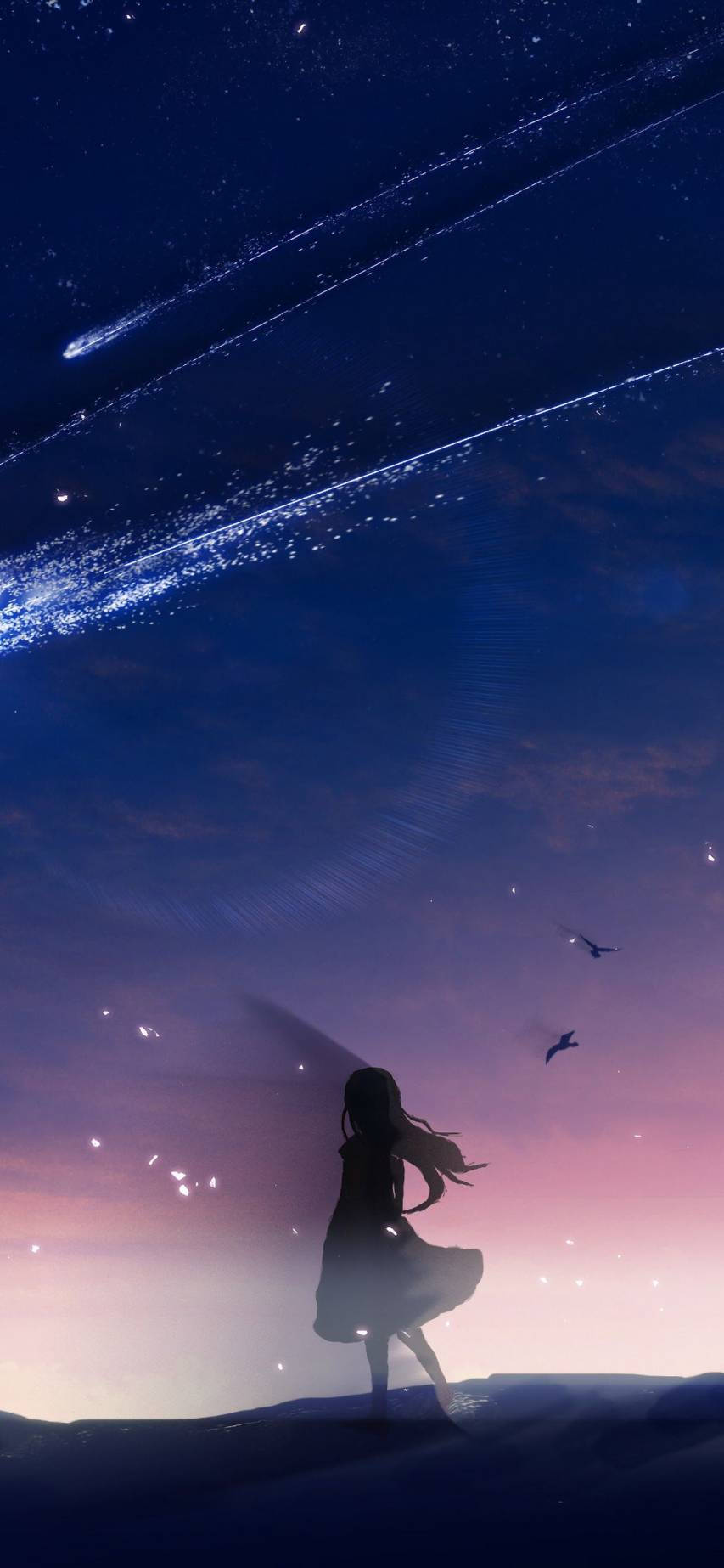 動漫女孩 桌布 壁紙 — 一個孤獨的女孩剪影站在山丘上，下方是充滿流星和飛鳥的 vibrant 暮色天空。