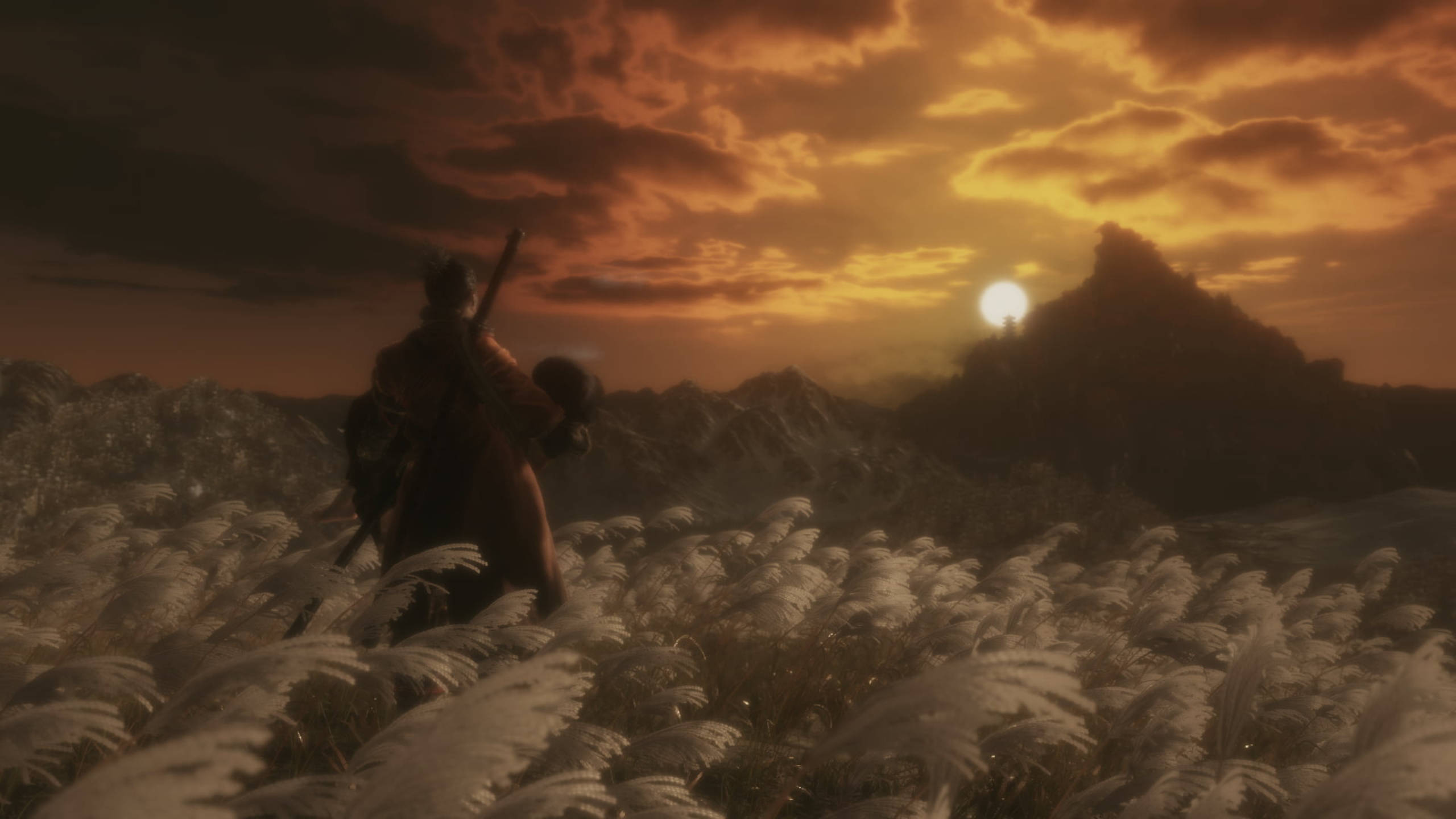 Sekiro 桌布 壁紙 — 一個孤獨的戰士站在夕陽下的高草叢中，遠方有山脈，天空是火熱的橙色。