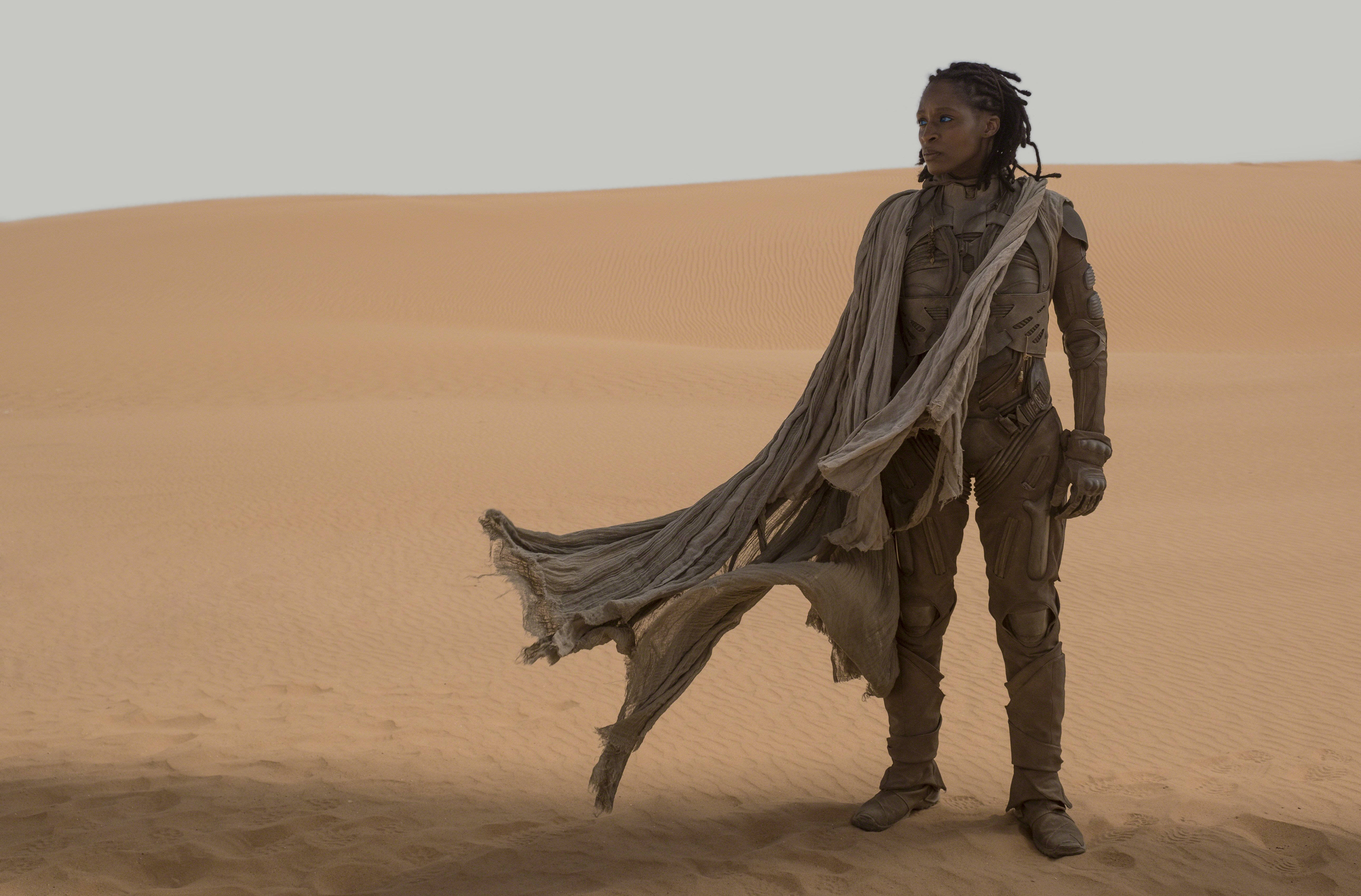 Dune Movie 桌布 壁紙 — 一個孤獨的戰士站在廣闊的沙漠中，風吹拂的布料在蒼白的天空下圍繞著他們飄動。