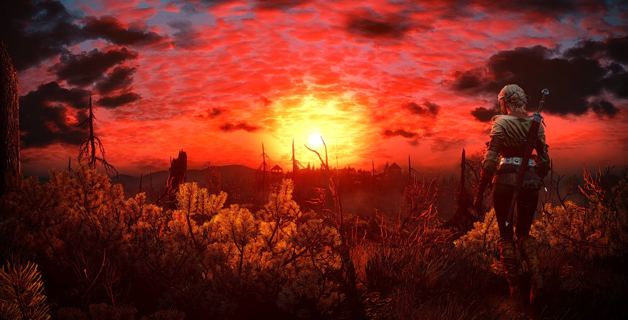 The Witcher 3 桌布 壁紙 — 一個孤獨的戰士站在荒蕪的田野上，看著廢墟景觀上空火紅的日落。