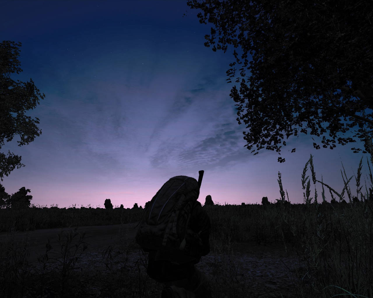 DayZ 桌布 壁紙 — 一個孤獨的揹著背包的遠足者，在樹枝框住的紫藍色雲彩暮色天空下形成剪影。