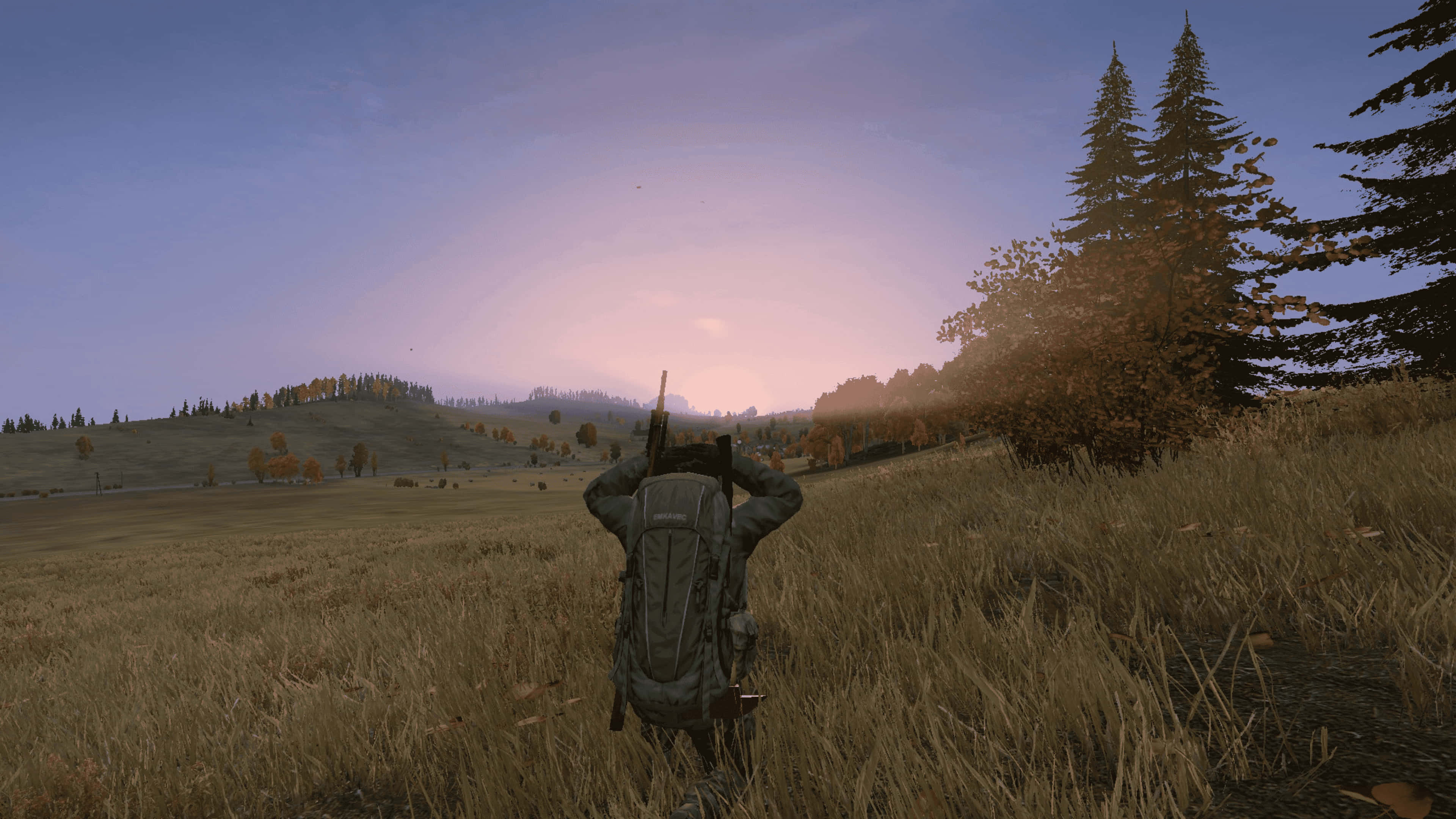 Dayz Mod 桌布 壁紙 — 一個孤獨的揹著背包的遠足者站在高高的草叢中，在日落時分俯瞰著沐浴在溫暖金色光芒中的森林山坡。