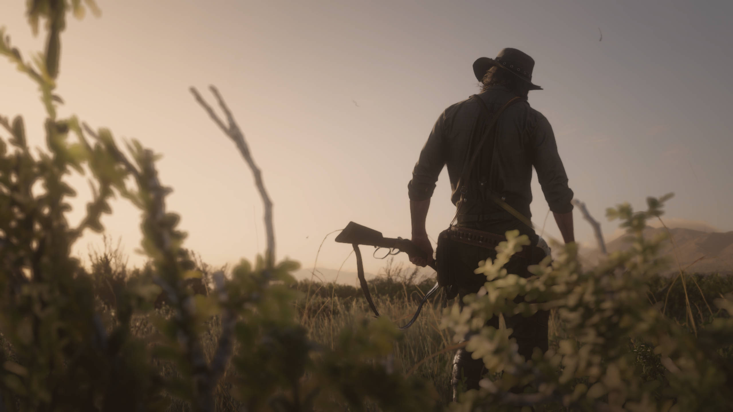 Red Dead Redemtion 2 桌布 壁紙 — 一個孤獨的牛仔戴著寬邊帽，在黃金時段穿過高草，肩上扛著步槍。