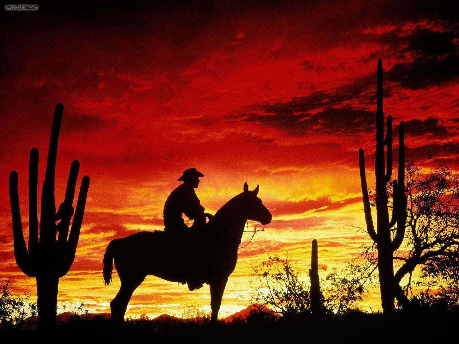 American Cowboy 桌布 壁紙 — 一個孤獨的牛仔騎在馬上，在熾熱的紅色和橙色沙漠日落中映襯出剪影，背景有薩瓜羅仙人掌。