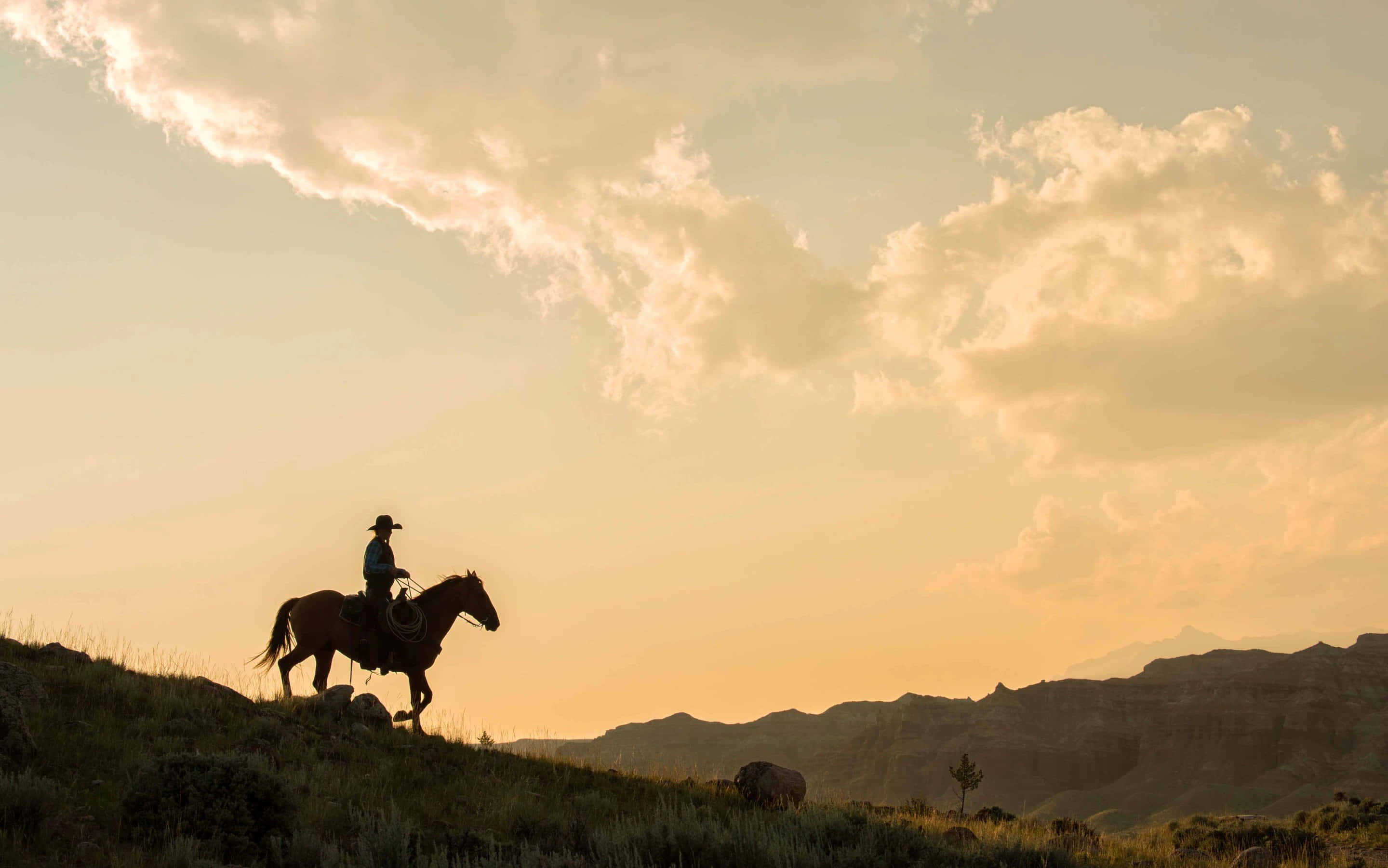 Cowboy 桌布 壁紙 — 一個孤獨的牛仔騎在馬背上，在崎嶇山脈上金色夕陽天空的映襯下形成剪影。