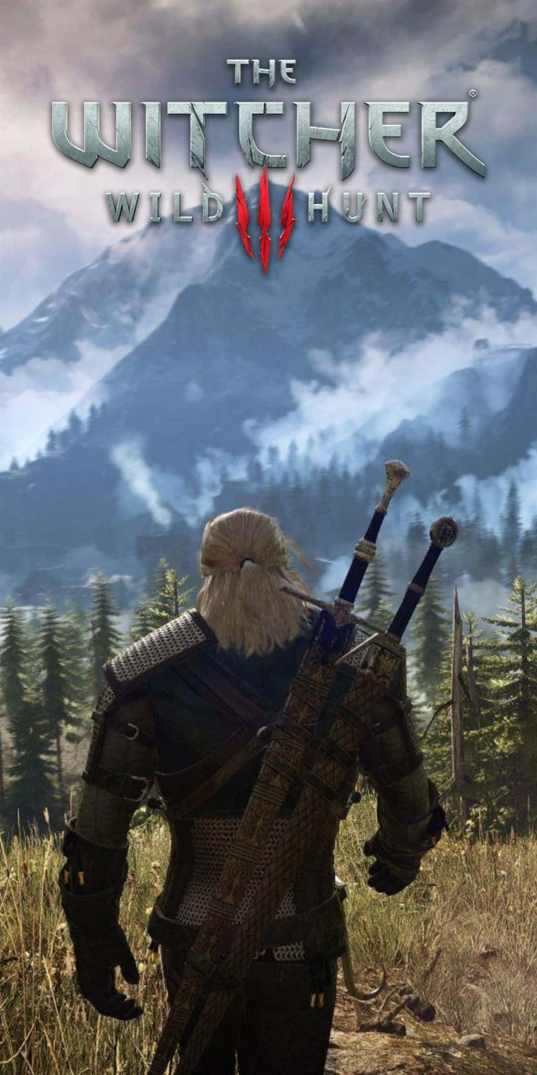 Pixel 3 The Witcher 3 桌布 壁紙 — 一個孤獨的獵魔士手持雙劍，站在草地上，面對著雲霧繚繞的山脈和茂密的松林，天空多雲。
