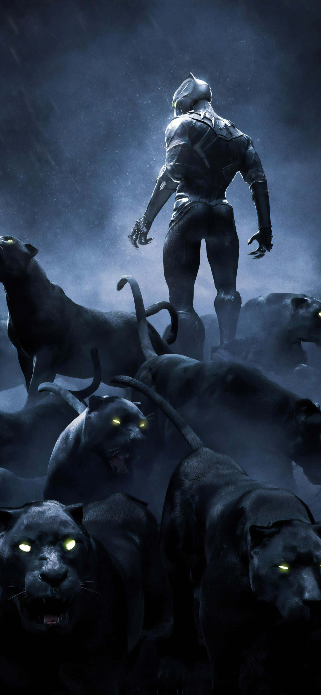 Black Panther Hero 桌布 壁紙 — 一個孤獨的裝甲人物站在一群發光眼睛的黑豹之上，身處迷霧籠罩的黑暗森林中。