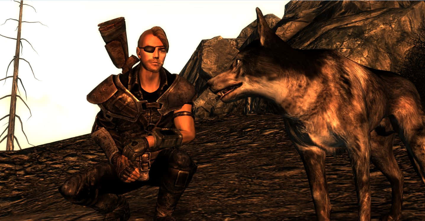 Fallout 4 Dogmeat 桌布 壁紙 — 一個孤獨的裝甲戰士跪在一隻忠誠的狼旁邊，身處荒涼的岩石荒地，天空明亮。