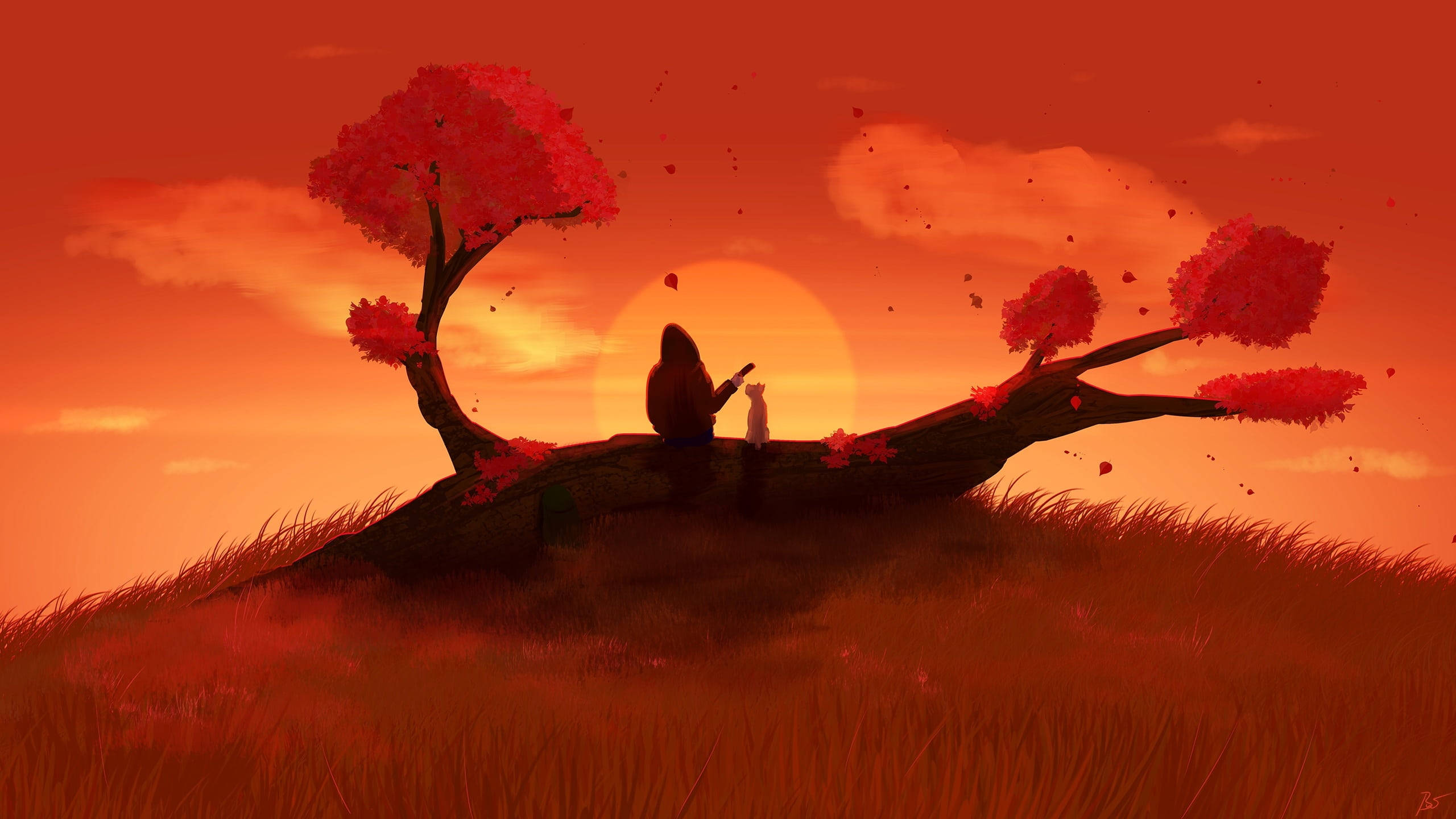 Silhouette 桌布 壁紙 — 一個孤獨的身影和一隻貓坐在一棵倒下的樹幹上，背景是火紅的夕陽和盛開的樹木。