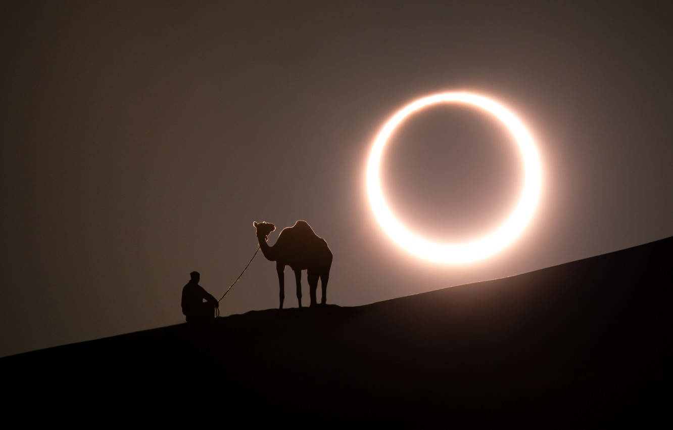 Eclipse 桌布 壁紙 — 一個孤獨的身影和駱駝剪影在沙丘頂上凝視著沙漠夜空中發光的日環食環。