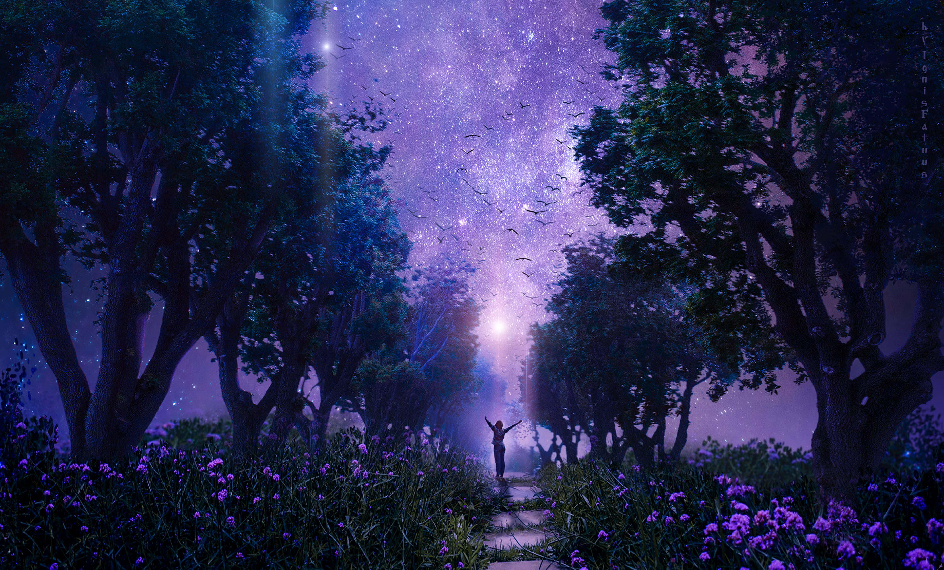 仙女美學 桌布 壁紙 — 一個孤獨的身影在充滿活力的紫色星空下敬畏地站立，四周環繞著高聳的樹木和發光的花朵。