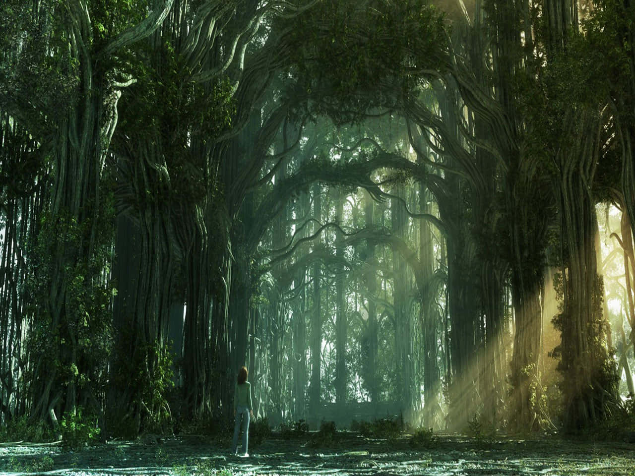 3d Forest 桌布 壁紙 — 一個孤獨的身影在古老的扭曲樹木形成的大教堂下敬畏地站立，金色的陽光透過茂密的綠色樹冠灑落。
