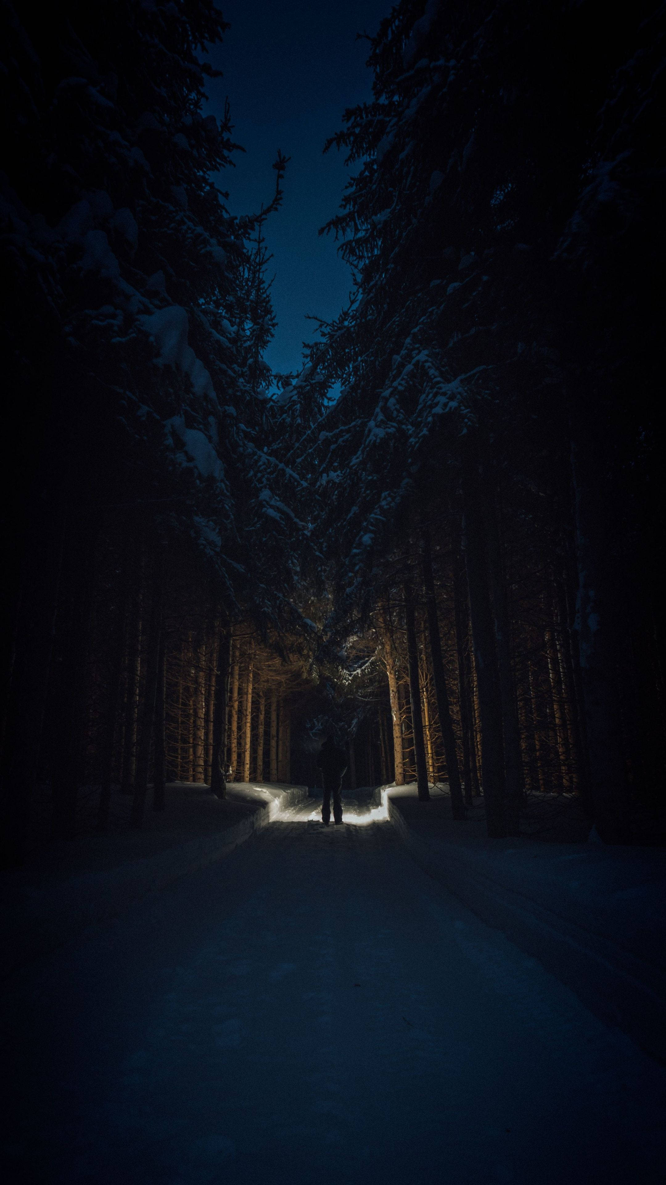 森林 桌布 壁紙 — 一個孤獨的身影在夜晚沿著積雪的森林小徑行走，被前方明亮的光照亮。