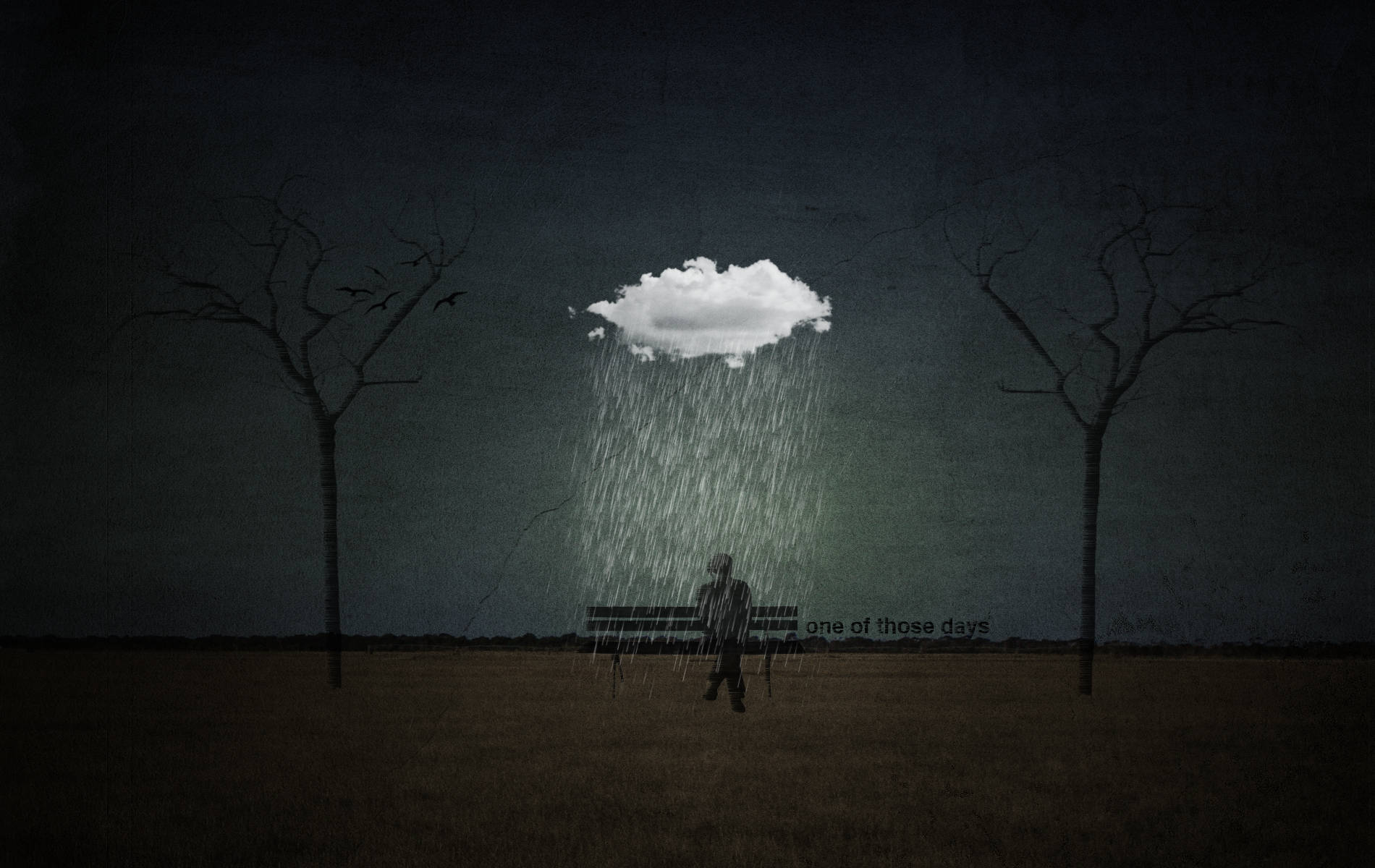 一個人在夜晚的黑暗田野中，獨自走在一朵雨雲下。