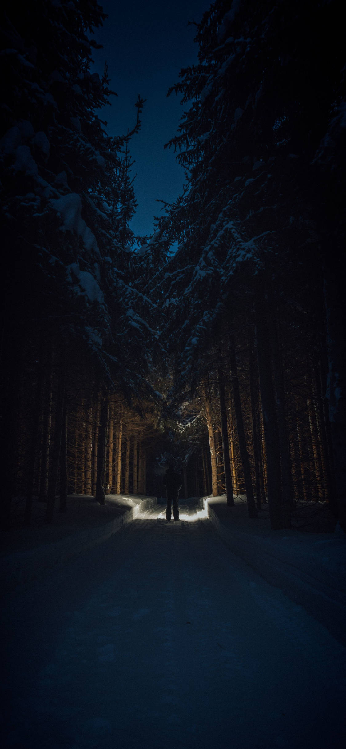 黑夜 桌布 壁紙 — 一個孤獨的身影在夜晚行走在被雪覆蓋的森林小徑上，被明亮的光線照亮，背景是高聳的積雪樹木。