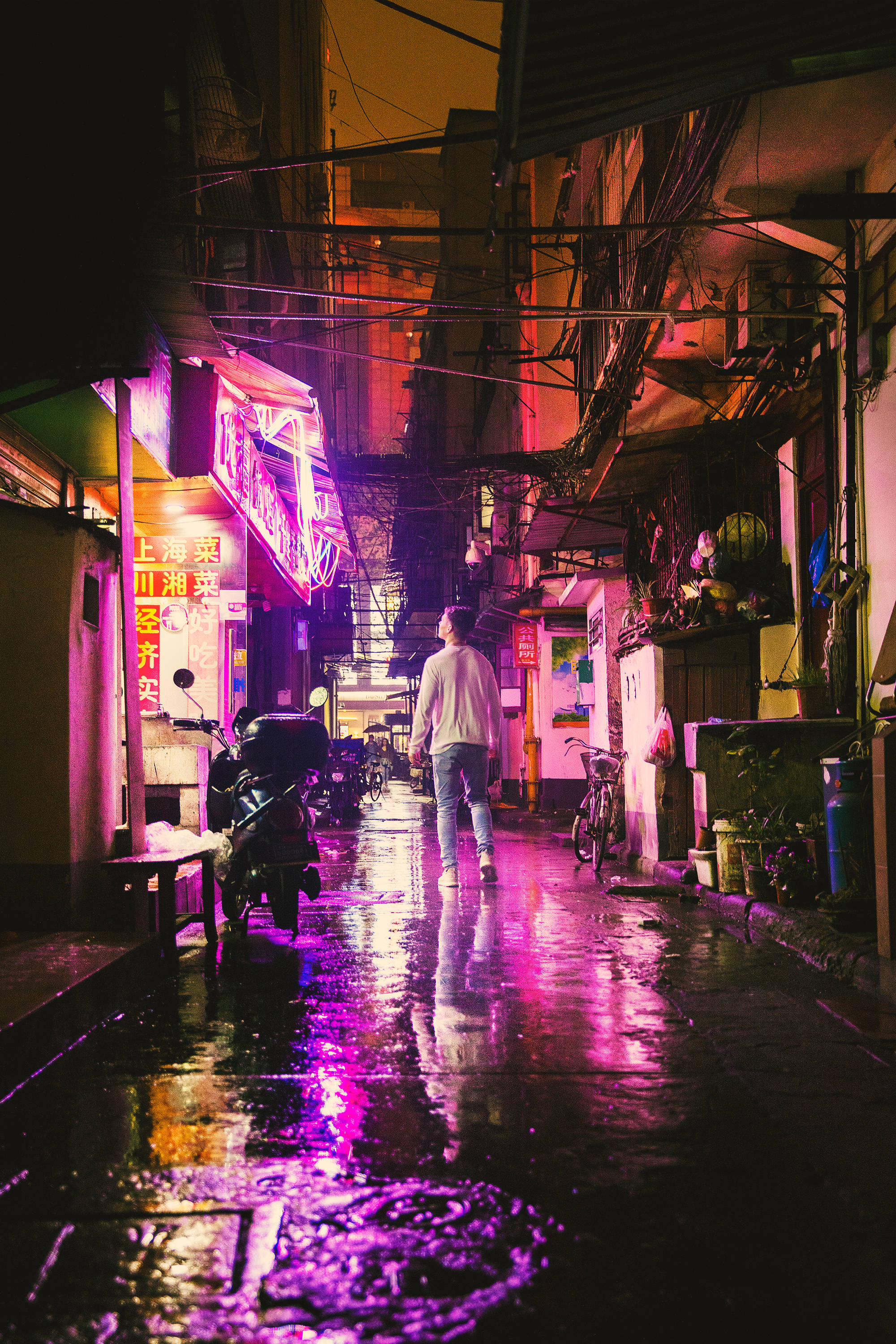 中文 桌布 壁紙 — 一個孤獨的身影在夜晚走下一條被霓虹燈浸透、雨水濕滑的小巷，反射出鮮豔的粉紅色和橙色燈光。