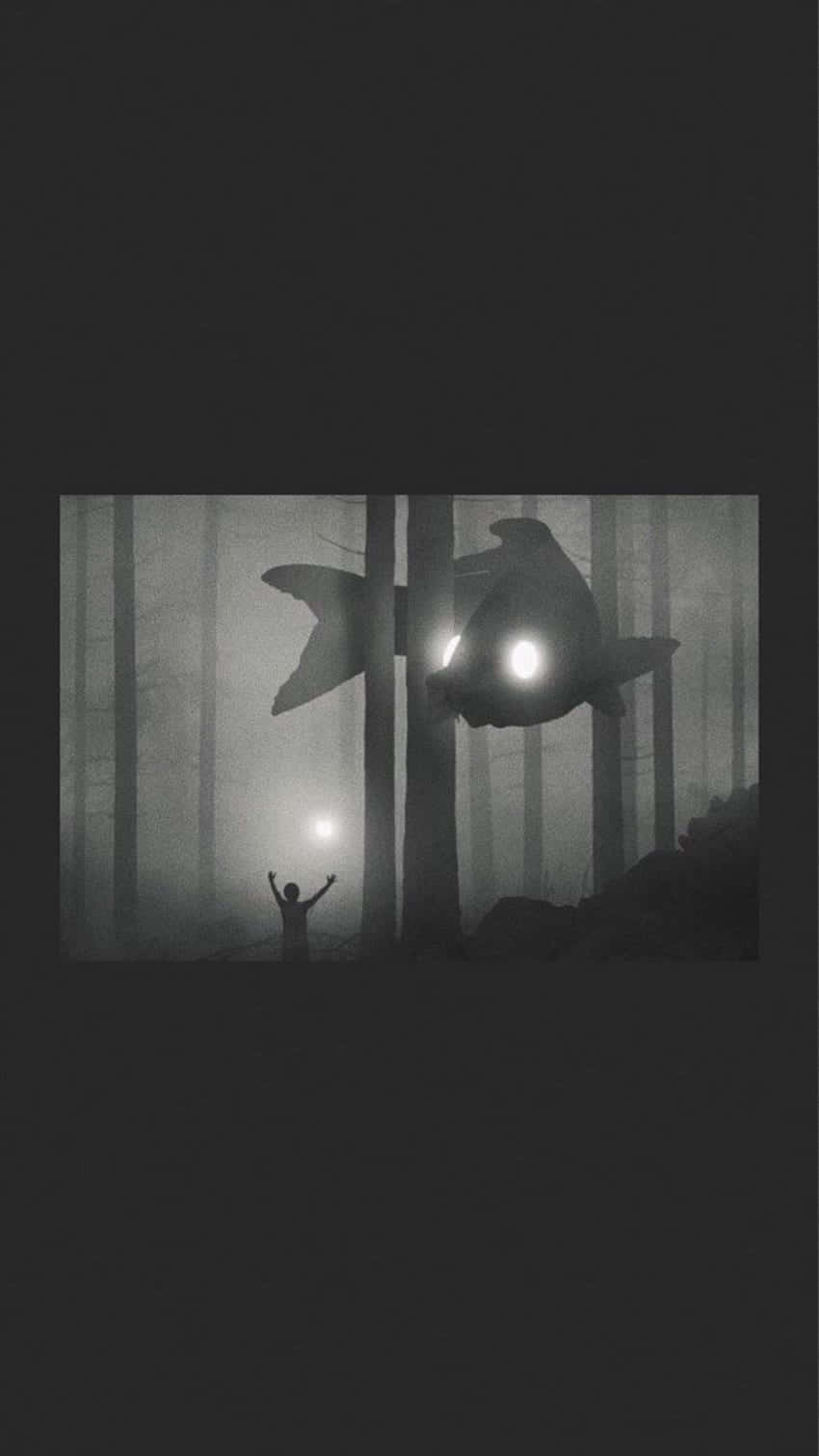 Aesthetic iPhone Horror 桌布 壁紙 — 一個孤獨的身影在夜間霧氣瀰漫的森林中，敬畏地站在一條懸浮的巨大發光魚下方。