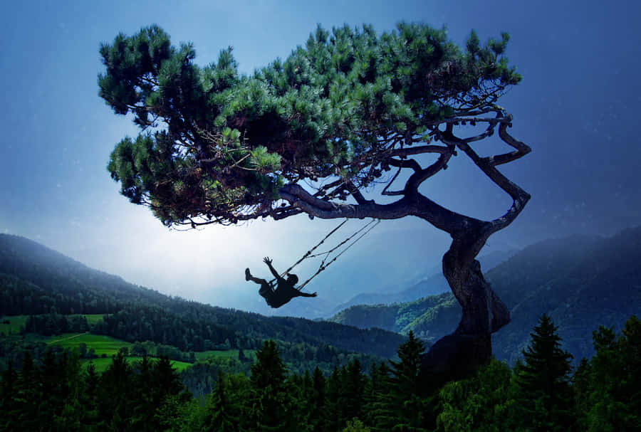 Cool Landscape 桌布 壁紙 — 一個孤獨的身影在巨大的松樹上搖擺，背景是山谷上方的暮色天空。