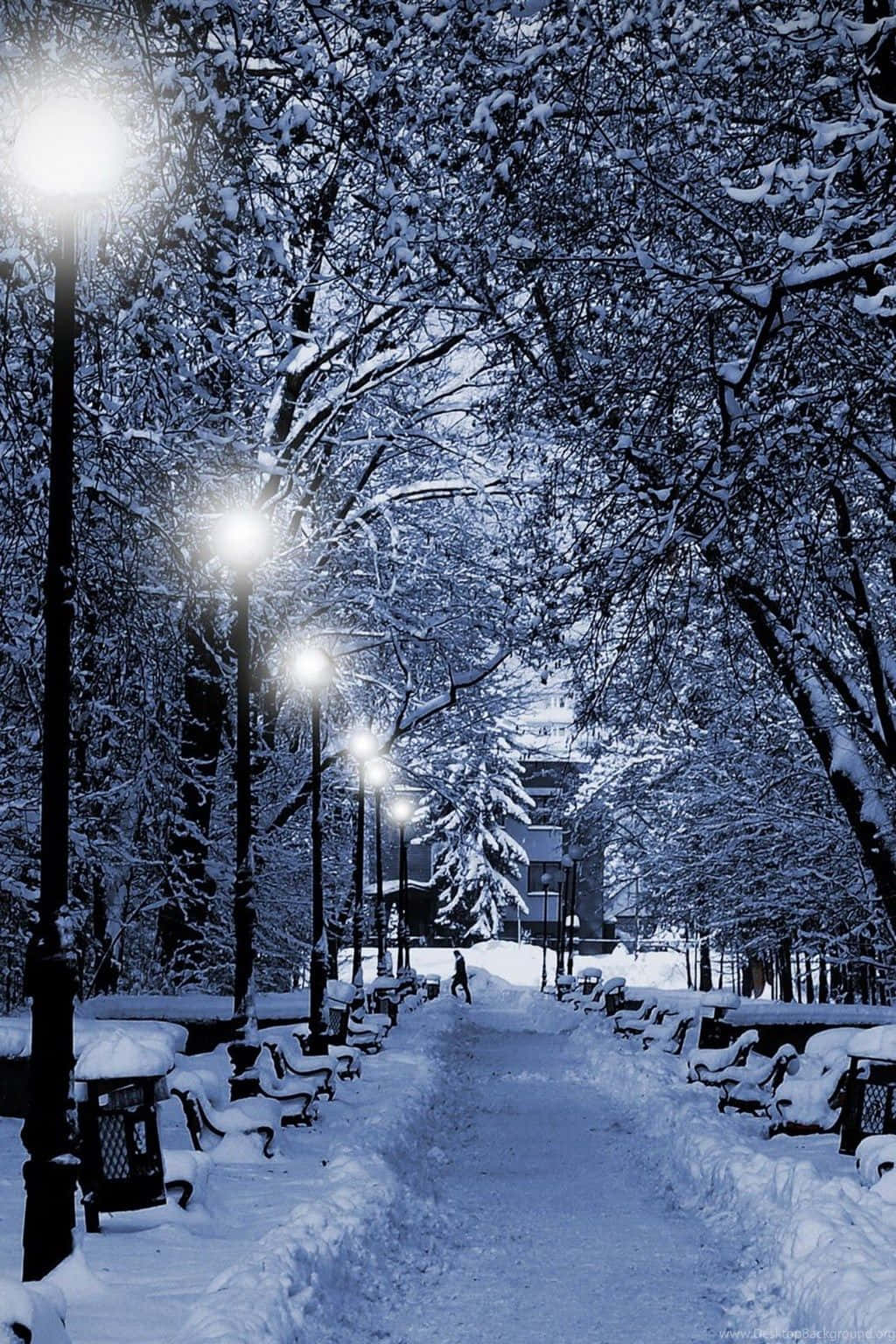 Christmas Cell Phone 桌布 壁紙 — 一個孤獨的身影在白雪覆蓋的公園小徑上行走，兩旁是發光的街燈和積雪的樹木，頭上是黑暗的冬日天空。