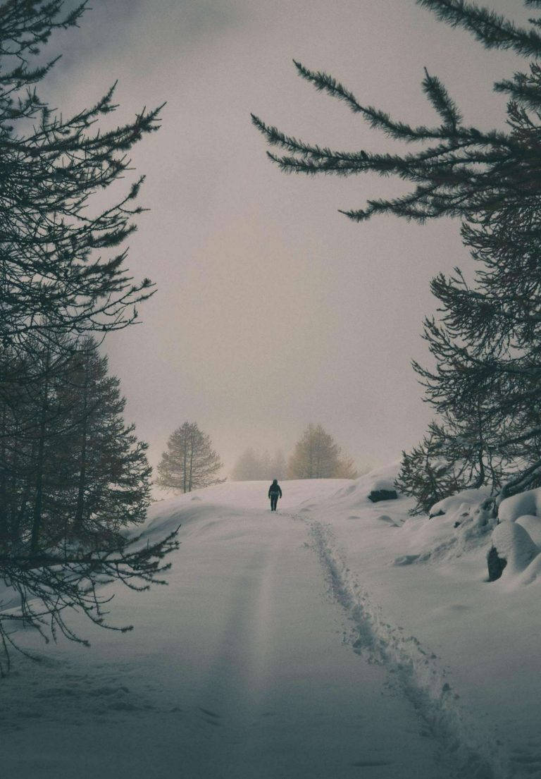 雪 桌布 壁紙 — 一個孤獨的身影在白雪覆蓋的小徑上行走，兩旁是黑暗的松樹，上方是朦朧的冬日天空。