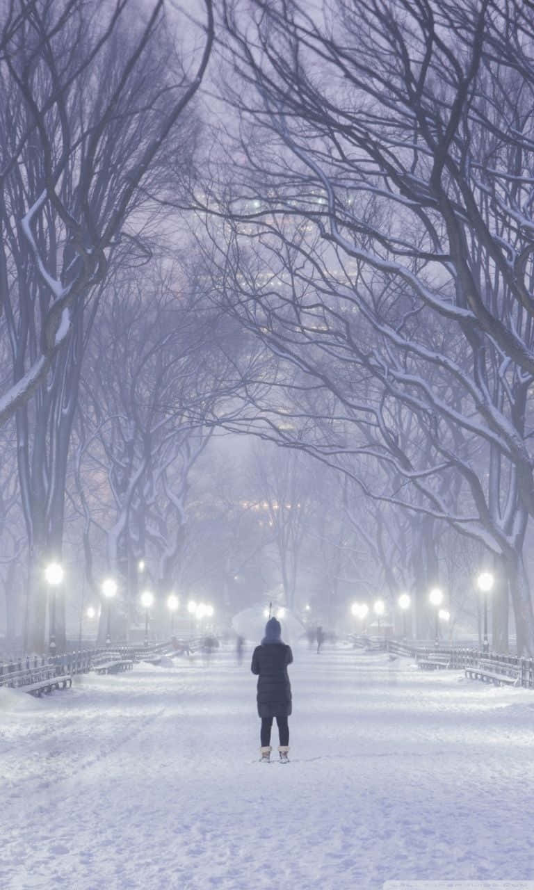 Winter Phone 桌布 壁紙 — 一個孤獨的身影在雪覆蓋的公園小徑上行走，兩旁是光禿禿的樹木和發光的街燈，天空是朦朧的冬日景象。