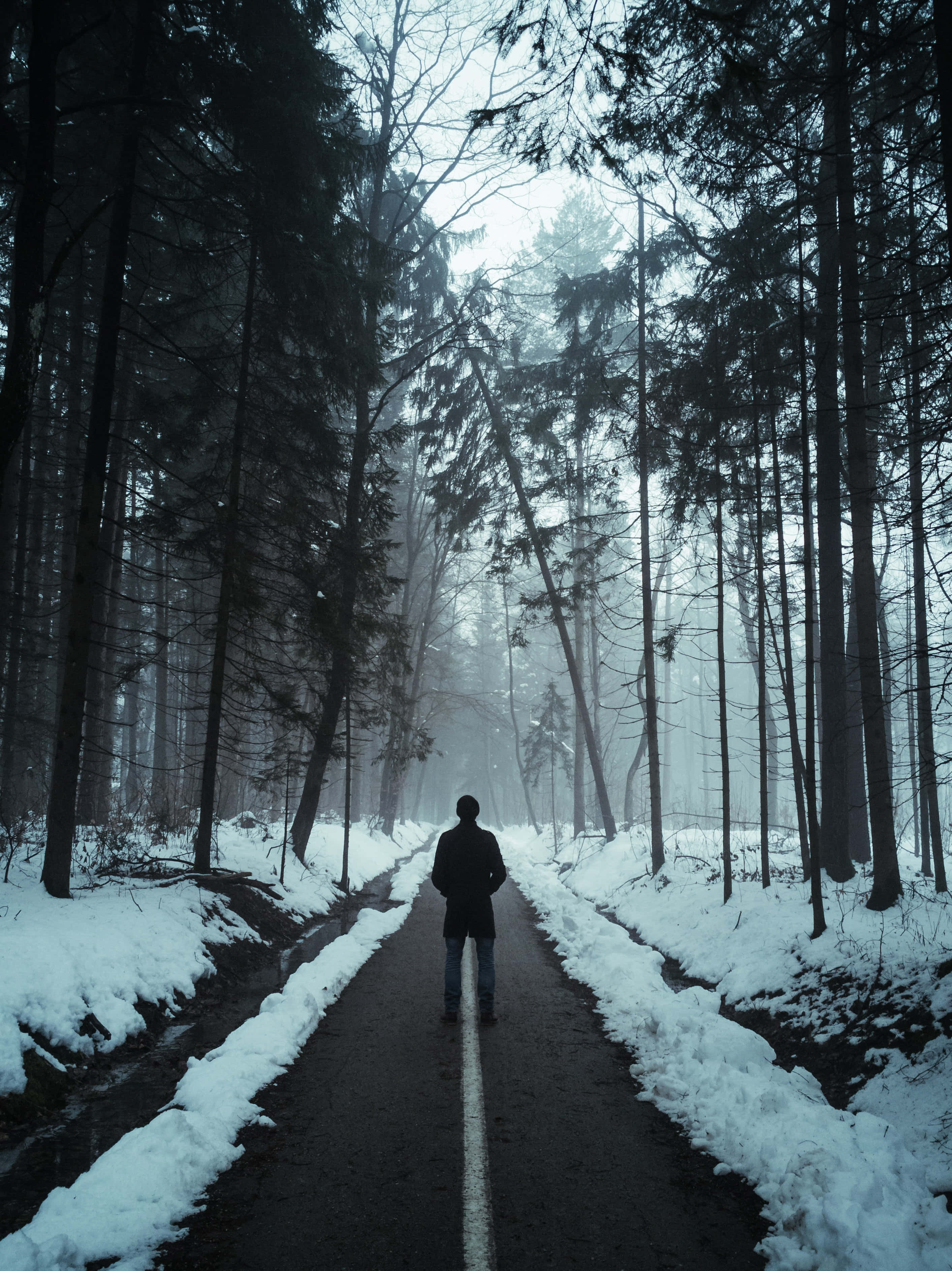 Alone 桌布 壁紙 — 一個孤獨的身影在霧濛濛的冬日天空下，沿著積雪的森林道路行走。