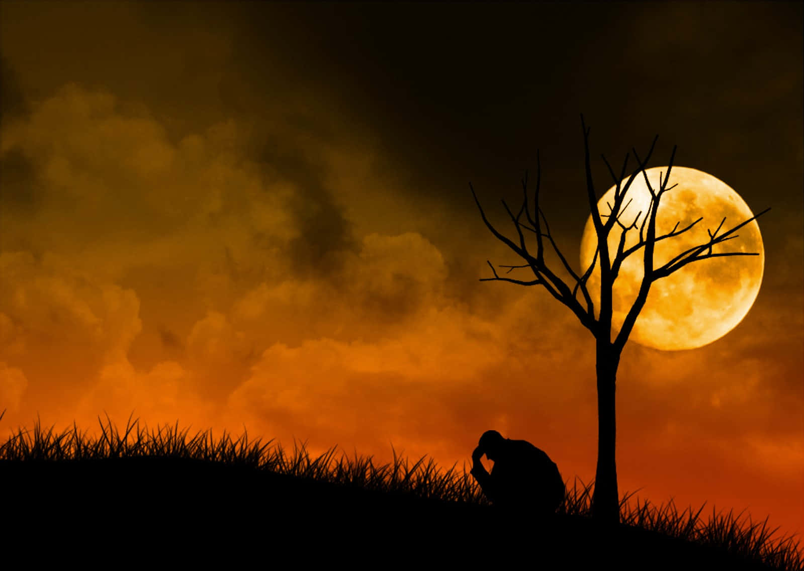 夜空 桌布 壁紙 — 一個孤獨的身影坐在一棵光禿禿的樹下，背景是火紅色的天空和發光的滿月。