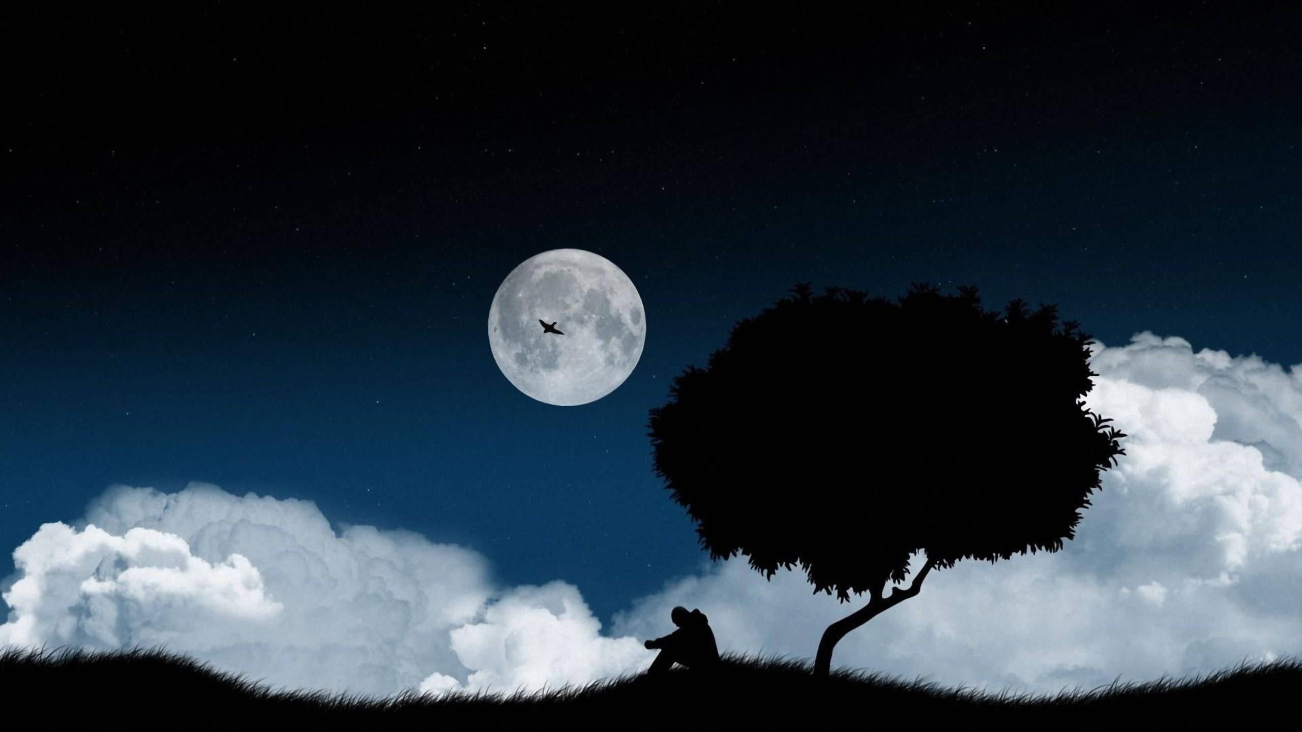 夜空 桌布 壁紙 — 一個孤獨的身影坐在剪影樹下，滿月當空，一隻鳥飛過繁星點點的夜空。