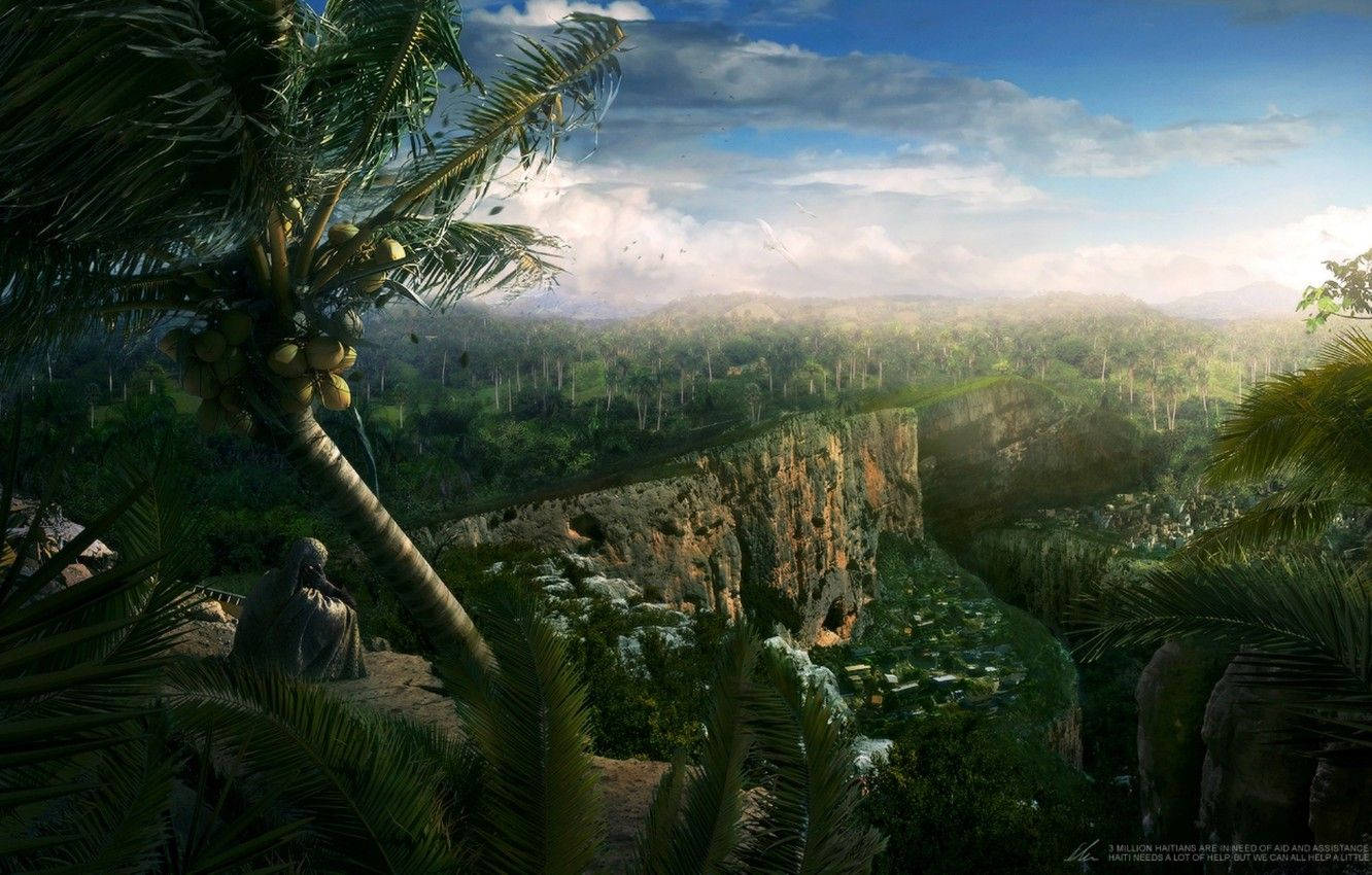 Haiti 桌布 壁紙 — 一個孤獨的身影坐在棕櫚樹下，俯瞰著一個茂密的叢林山谷，山谷中有懸崖和霧氣繚繞的雲朵，天空明亮湛藍。