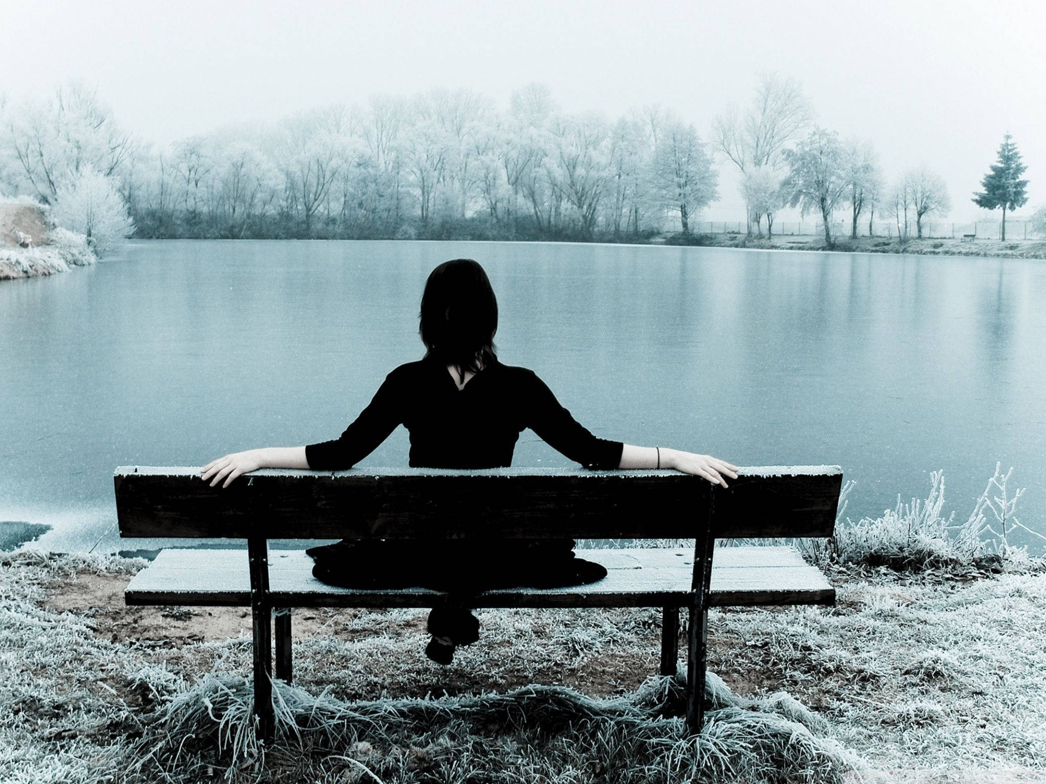 Sitting Alone 桌布 壁紙 — 一個孤獨的身影坐在結霜的長椅上，俯瞰著被光禿樹木環繞的霧濛濛冰凍湖泊。