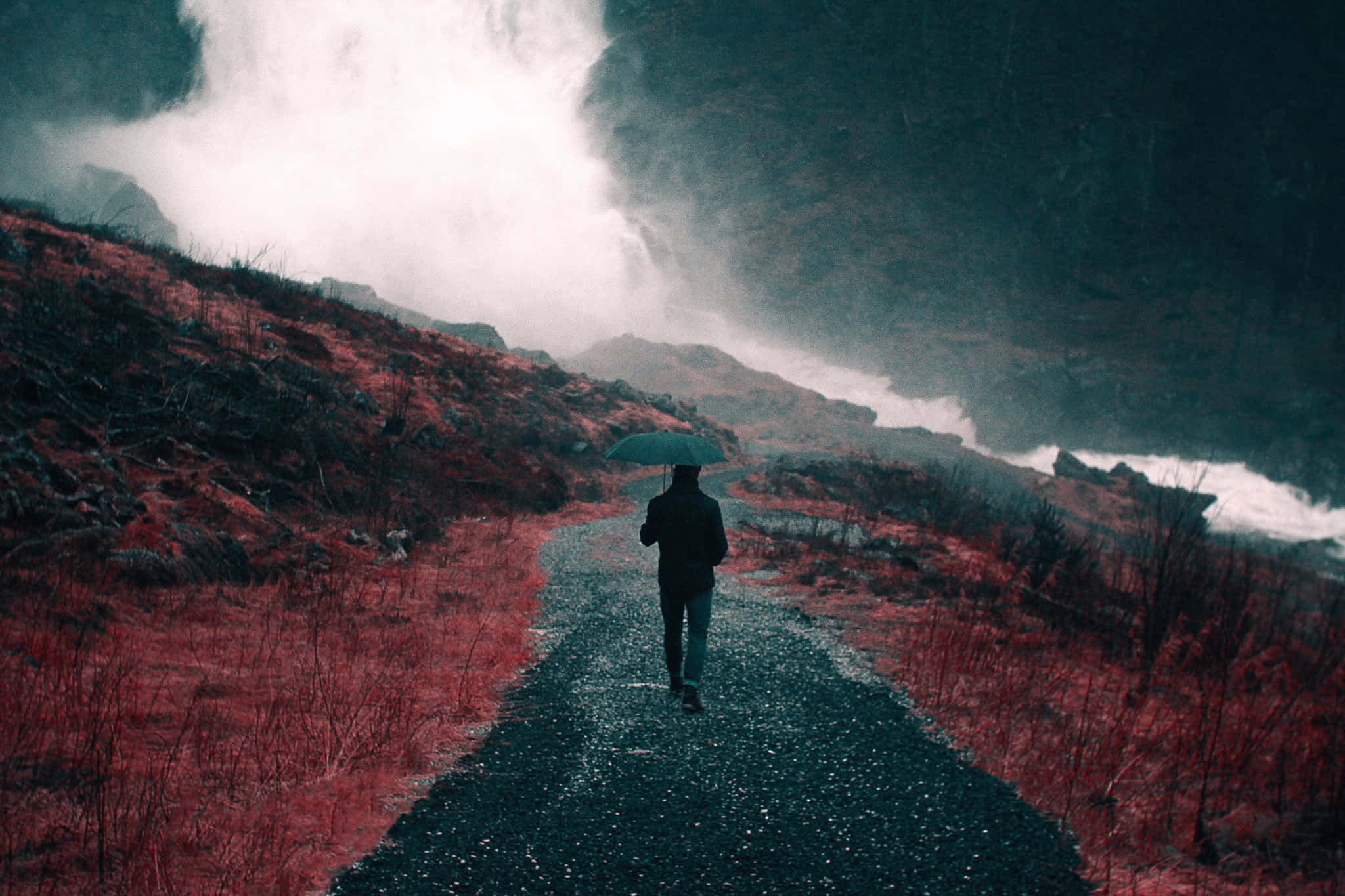 Gloomy 桌布 壁紙 — 一個孤獨的身影撐著傘，在黑暗的天空下，沿著一條濕漉漉的小路穿過霧氣瀰漫的紅色景觀。