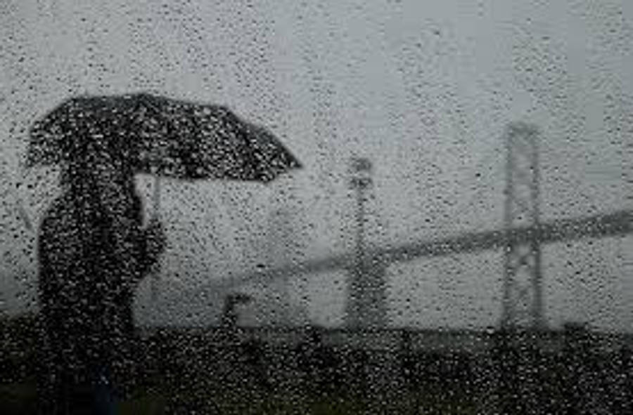 Wither Storm 桌布 壁紙 — 一個孤獨的身影撐著雨傘，站在雨水淋漓的窗前，眺望著霧氣瀰漫的橋樑，天色陰沉。
