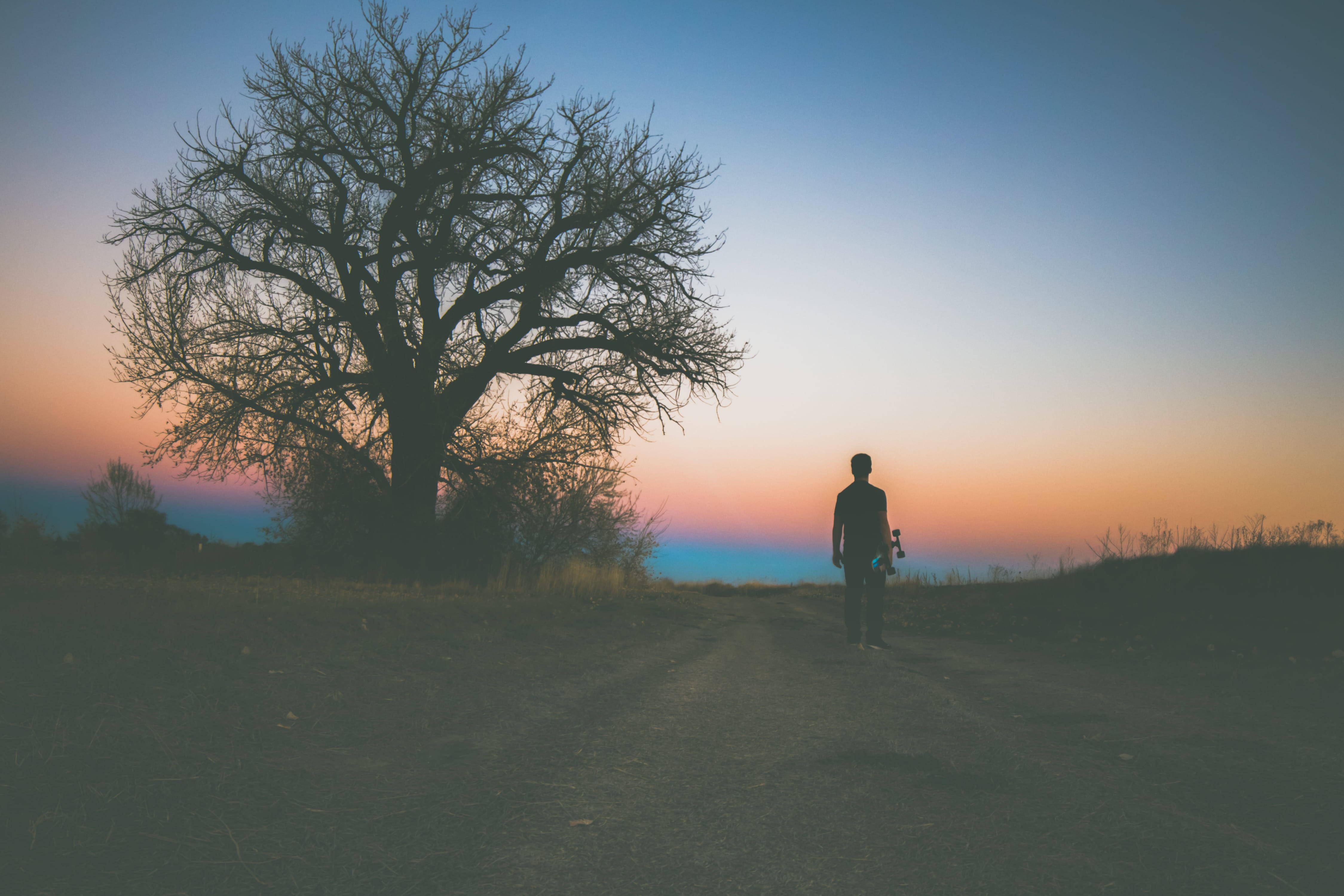 Alone Boy 桌布 壁紙 — 一個孤獨的身影沿著泥路走向廣闊的日落天空，背景襯托著一棵光禿樹的剪影。