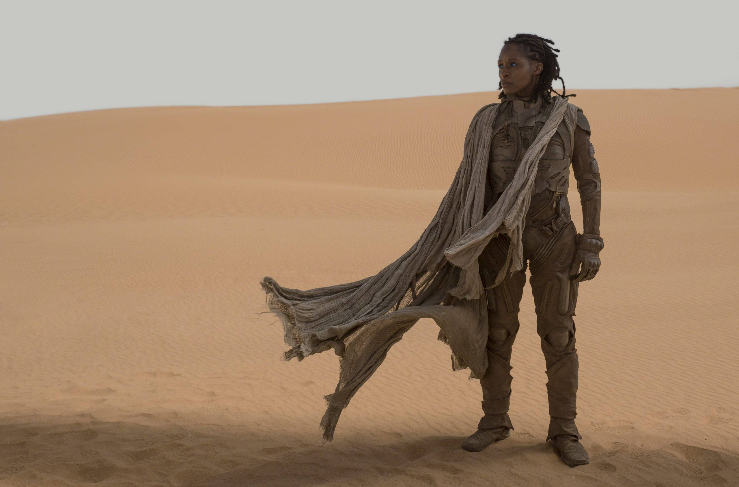 Dune Movie 桌布 壁紙 — 一個孤獨的身影穿著破爛裝備，在廣闊的沙漠中挑釁地站立，風吹動他們的斗篷，映襯著暗淡的天空。