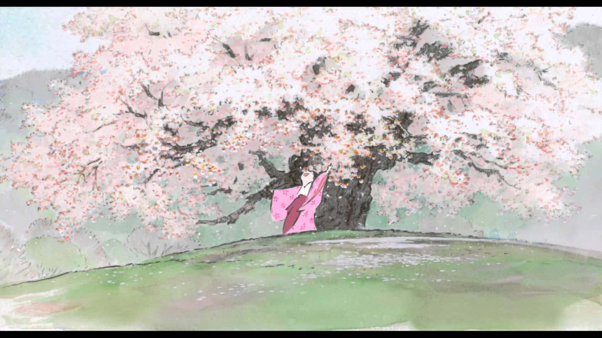 The Tale Of The Princess Kaguya 桌布 壁紙 — 一個孤獨的身影穿著粉紅色和服，站在柔軟的綠色山丘上一棵盛開的巨大櫻花樹下。