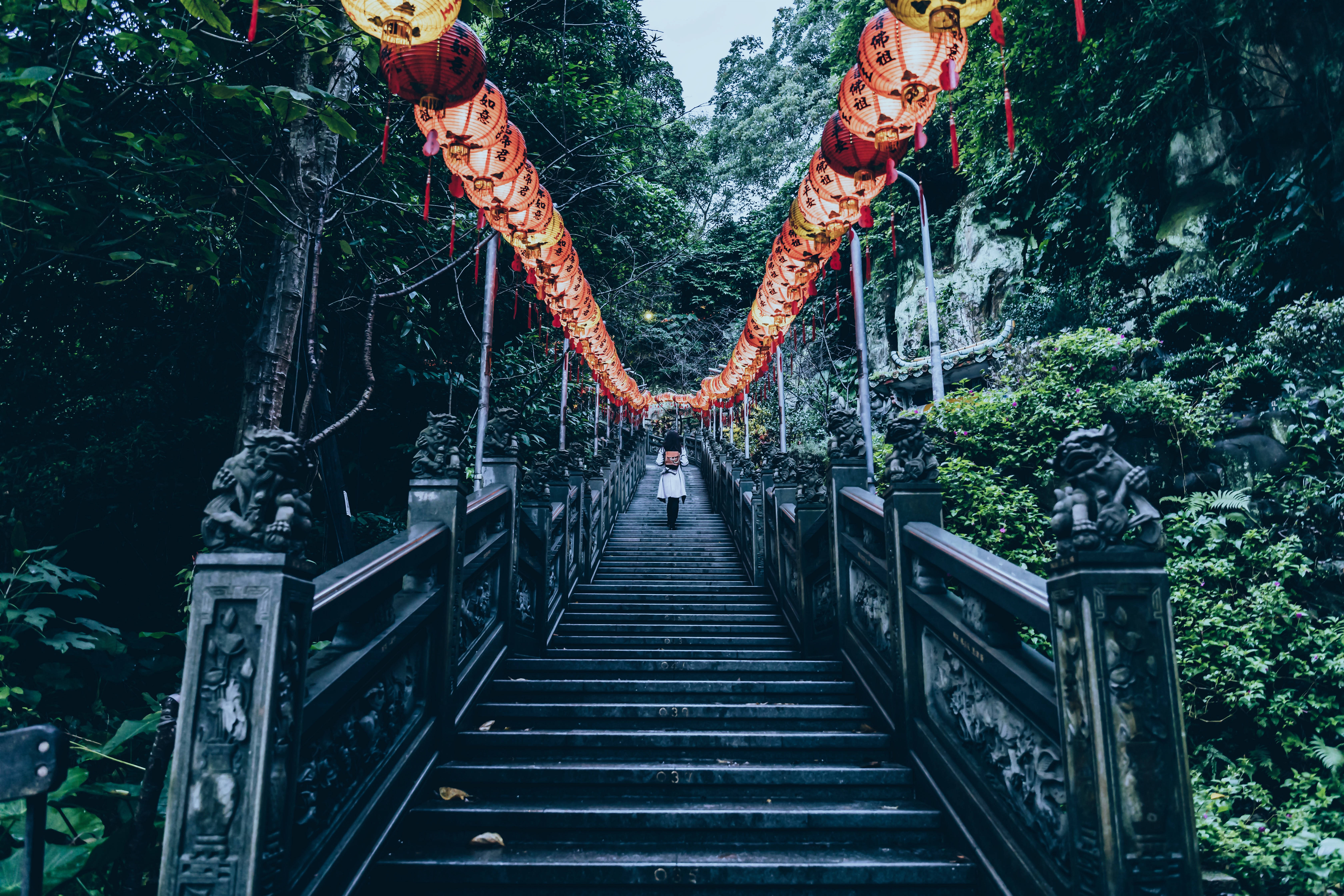 中文 桌布 壁紙 — 一個孤獨的身影穿過茂密的綠色森林，登上兩旁有雕刻欄杆和發光紅色燈籠的石階。