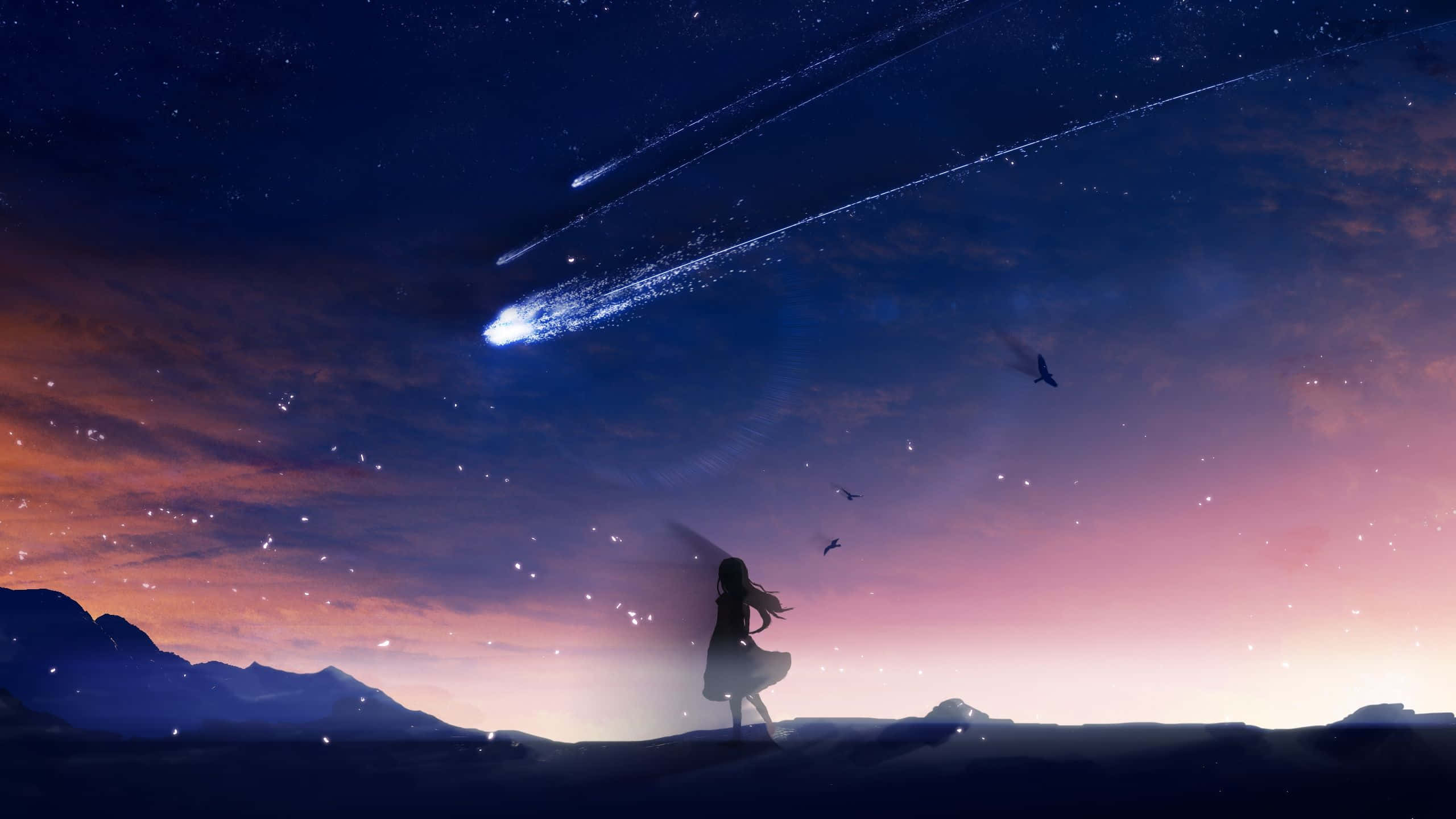 Anime Sky 桌布 壁紙 — 一個孤獨的身影站在山脊上，下方是充滿流星和飛鳥的鮮豔暮色天空。