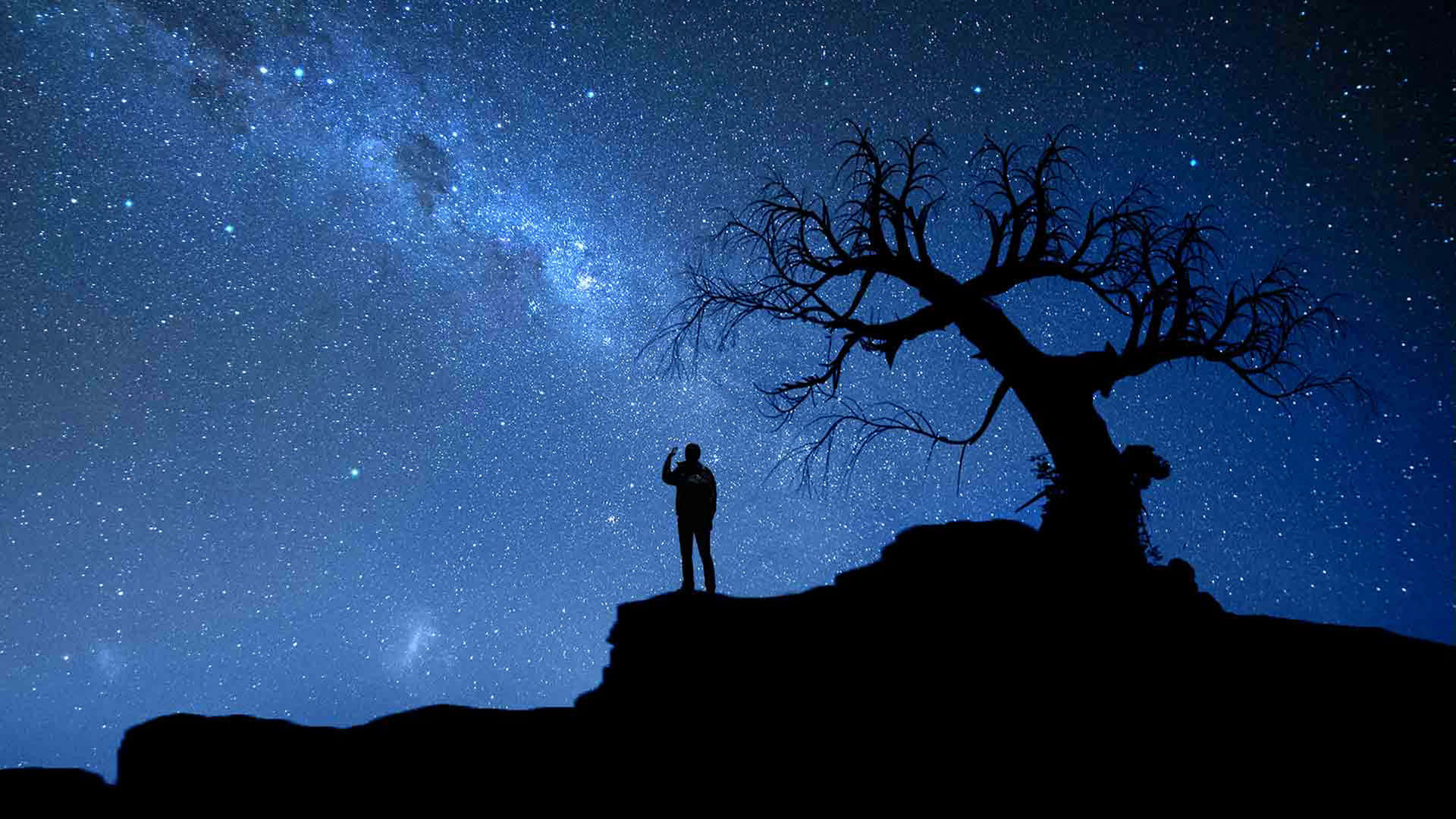 夜空 桌布 壁紙 — 一個孤獨的身影站在懸崖上，頭頂是令人嘆為觀止的星空，銀河在光禿禿的樹旁拱起。