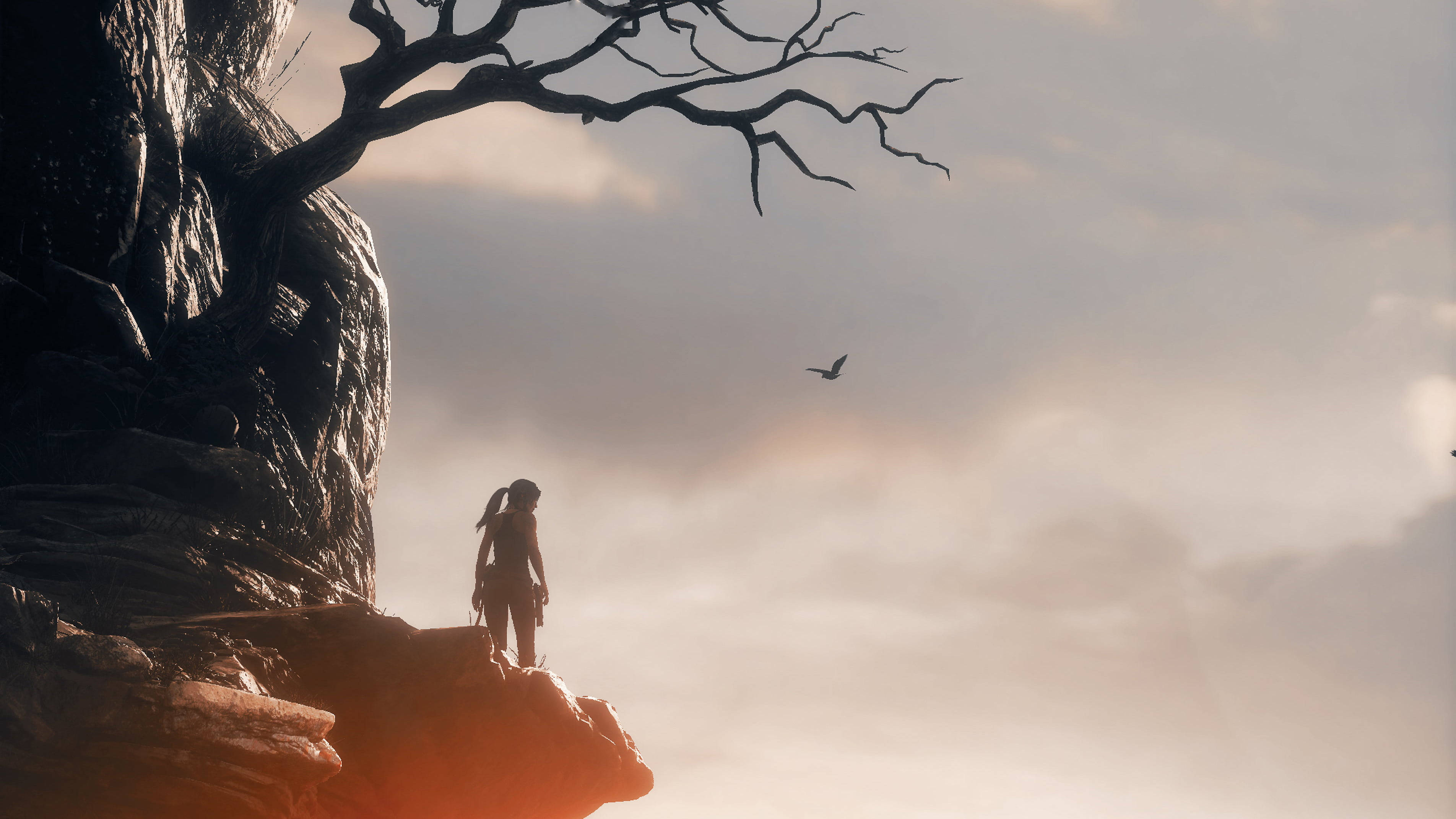 Rise Of The Tomb Raider 桌布 壁紙 — 一個孤獨的身影站在懸崖邊緣，一棵光禿禿的樹下，一隻鳥在柔和的金色日落中飛過。