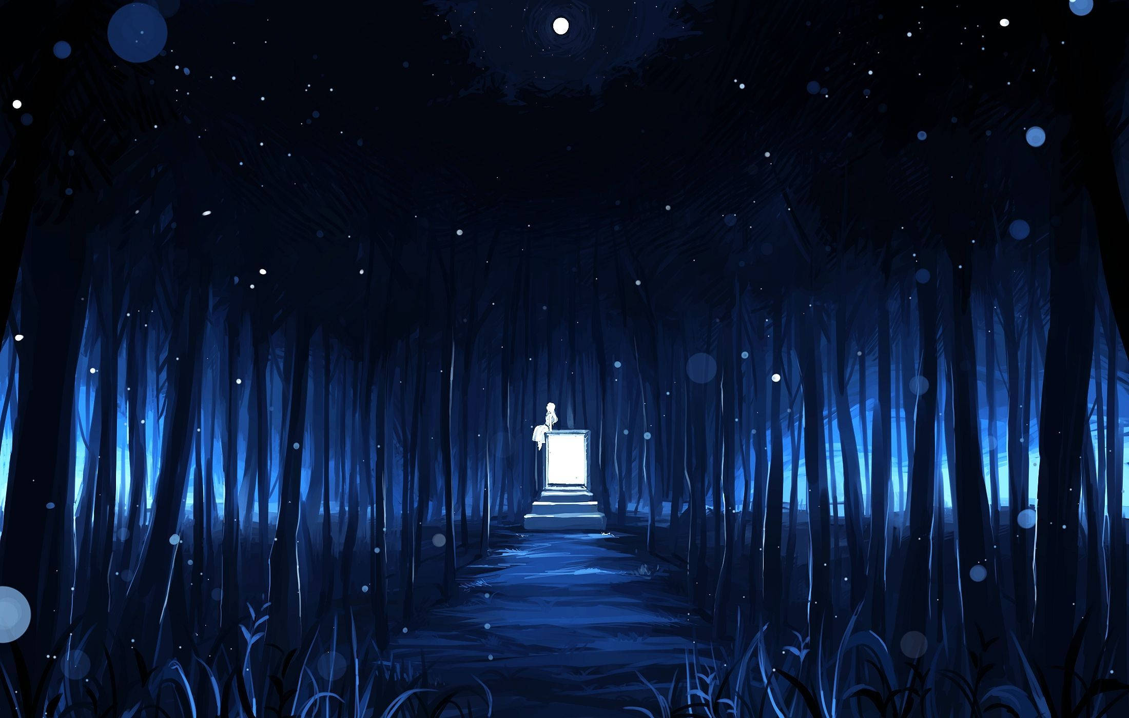 桌布 壁紙 — 一個孤獨的身影站在星夜下神秘藍色森林小徑盡頭的一扇發光門前。