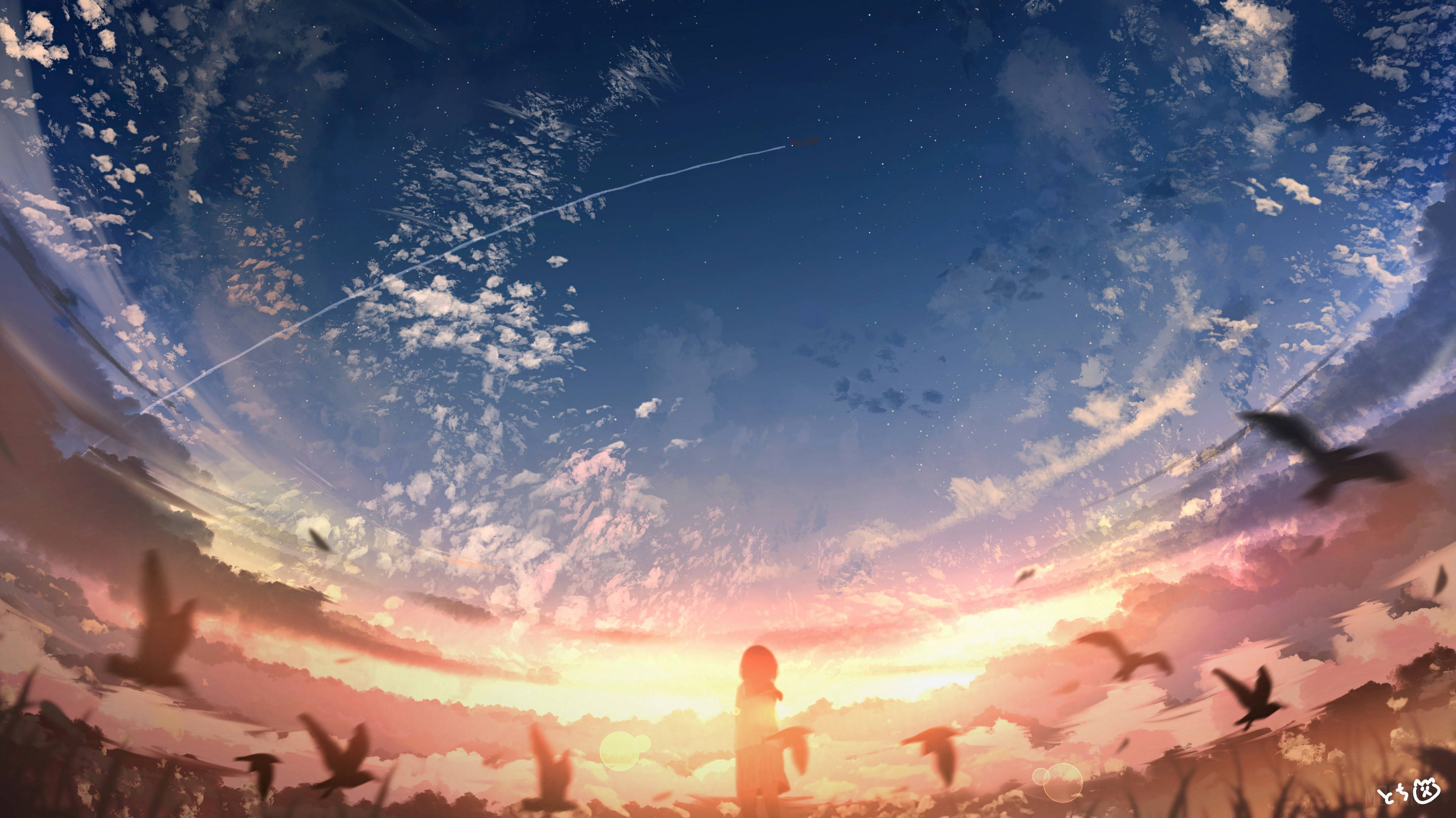Birds Flying 桌布 壁紙 — 一個孤獨的身影站在田野中，鳥兒在廣闊的天空下飛翔，天空被夕陽的色彩和散落的雲朵所描繪。