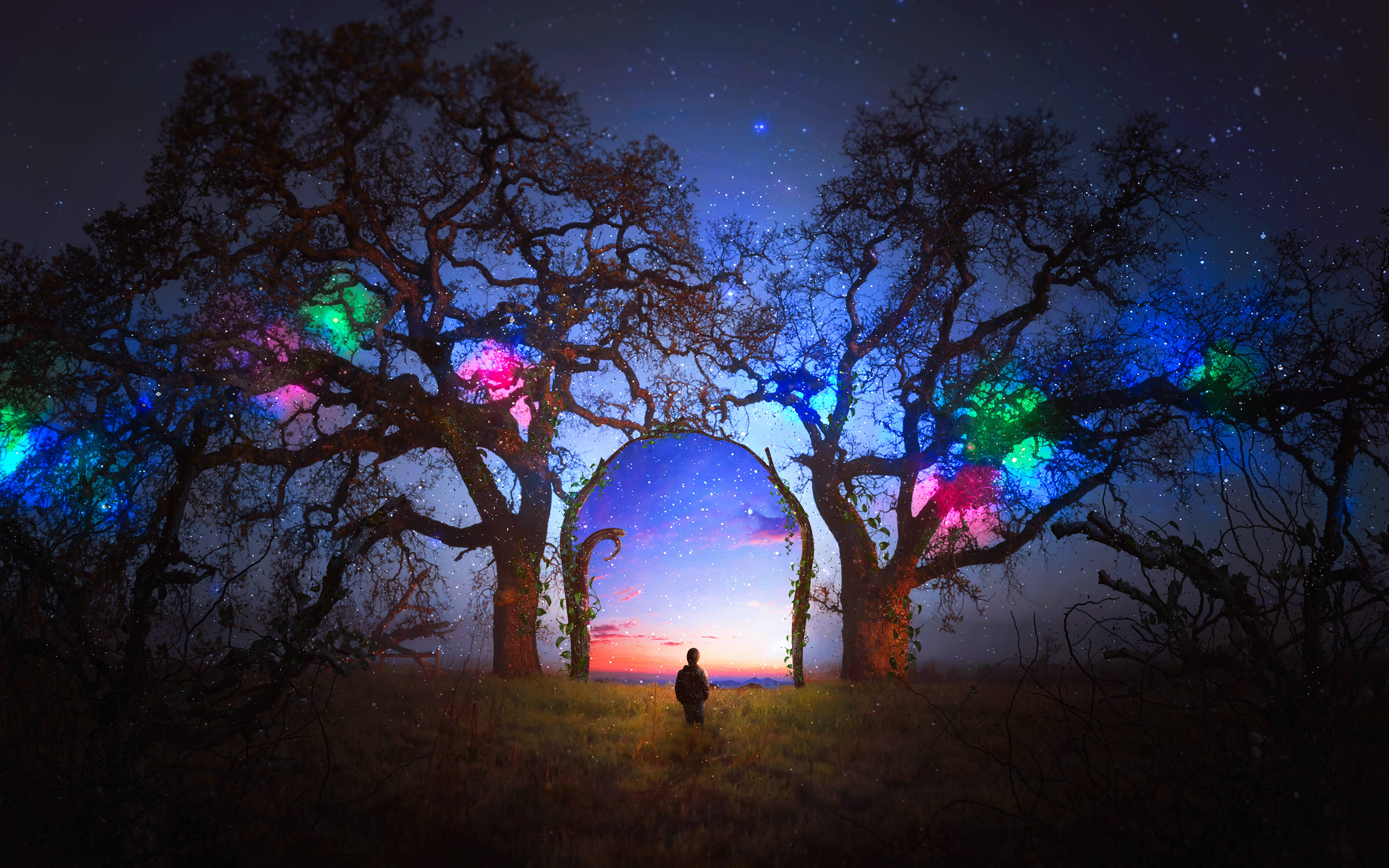 夜空 桌布 壁紙 — 一個孤獨的身影站在發光的樹木下，樹木框住了繁星點點的夜空和充滿活力的日落地平線。