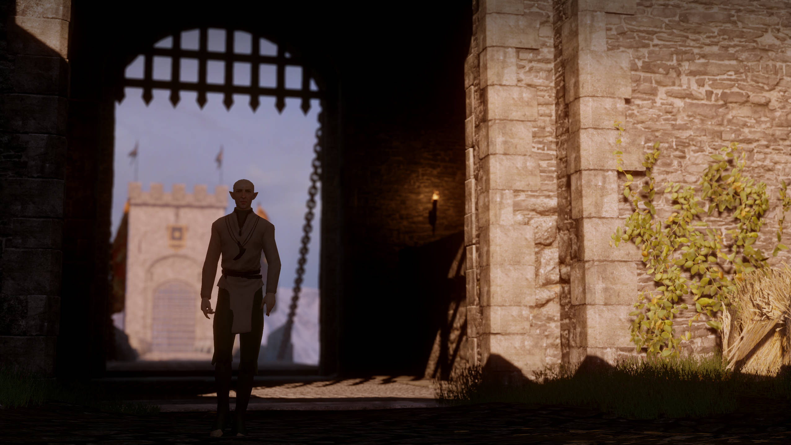 Dragon Age 桌布 壁紙 — 一個孤獨的身影站在石城堡門樓中，陽光照亮了遠處的古老城垛。