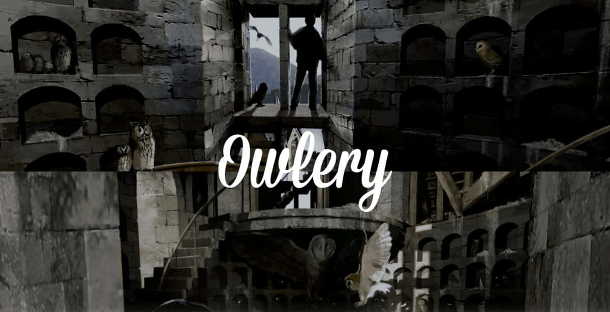 The Hogwarts Owlery 桌布 壁紙 — 一個孤獨的身影站在石頭貓頭鷹舍中，貓頭鷹棲息並飛翔在古老的拱形壁龕周圍。
