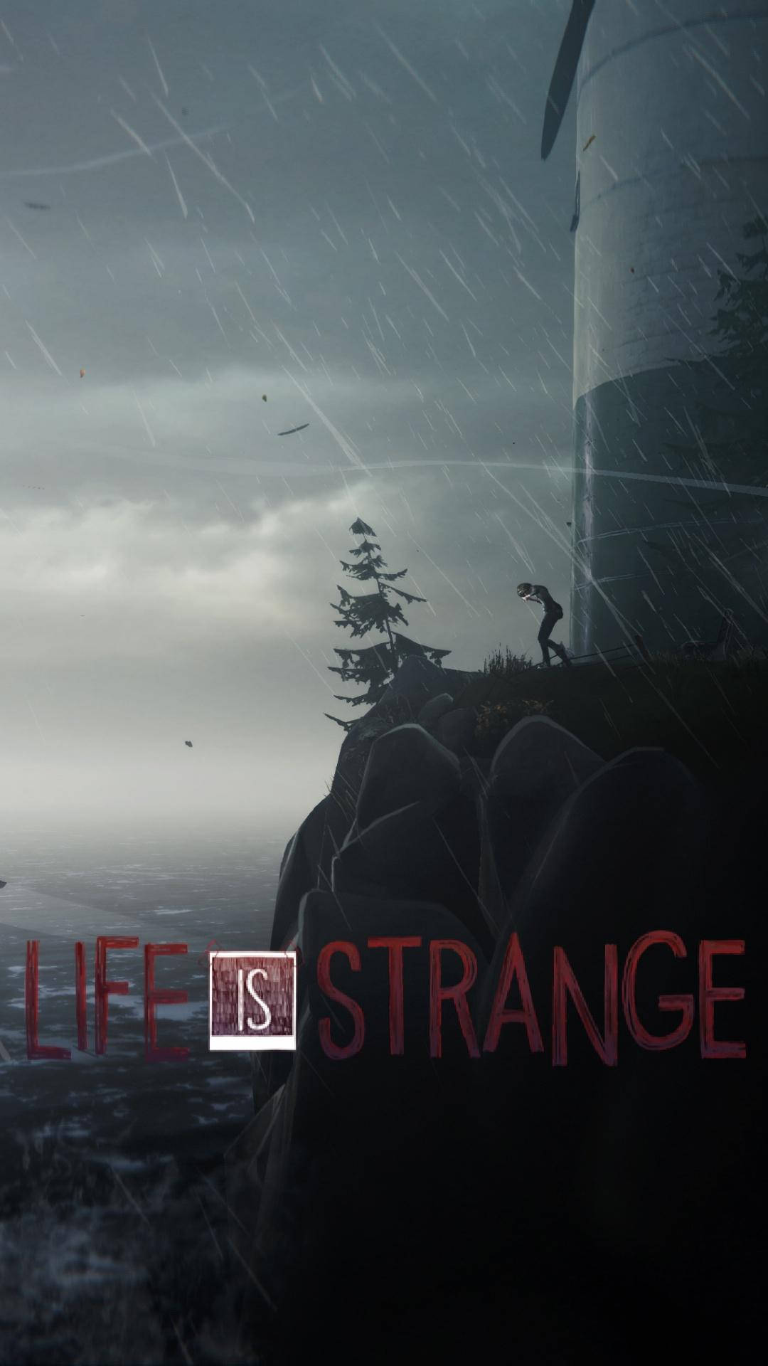 life 桌布 壁紙 — 一個孤獨的身影站在被雨水打濕的懸崖邊，旁邊有一棵孤獨的松樹，在暴風雨的天空下，附近有一座巨大的塔樓若隱若現。