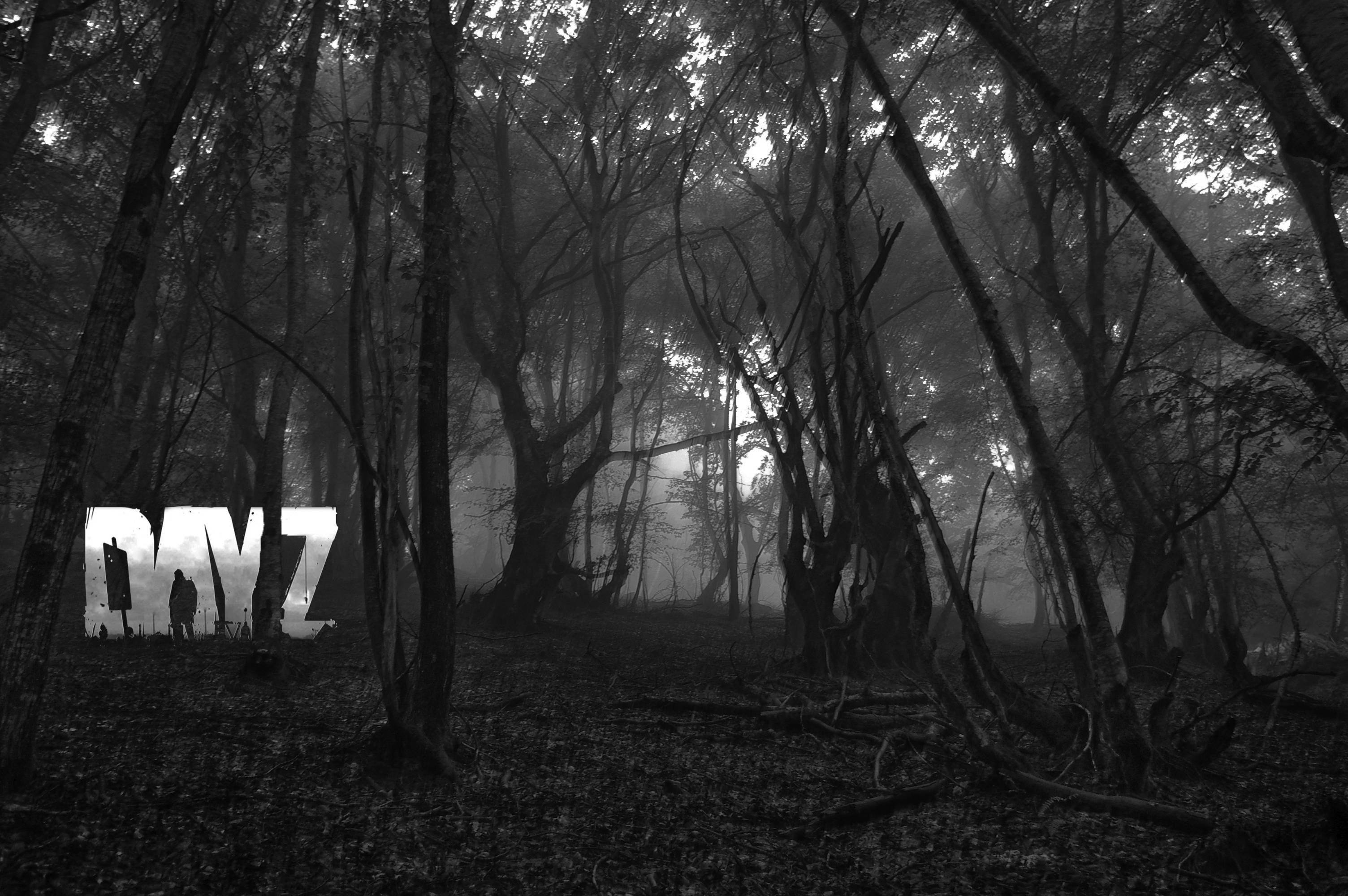 Dayz Desktop 桌布 壁紙 — 一個孤獨的身影站在迷霧籠罩、樹木扭曲的單色森林中，氣氛詭異。